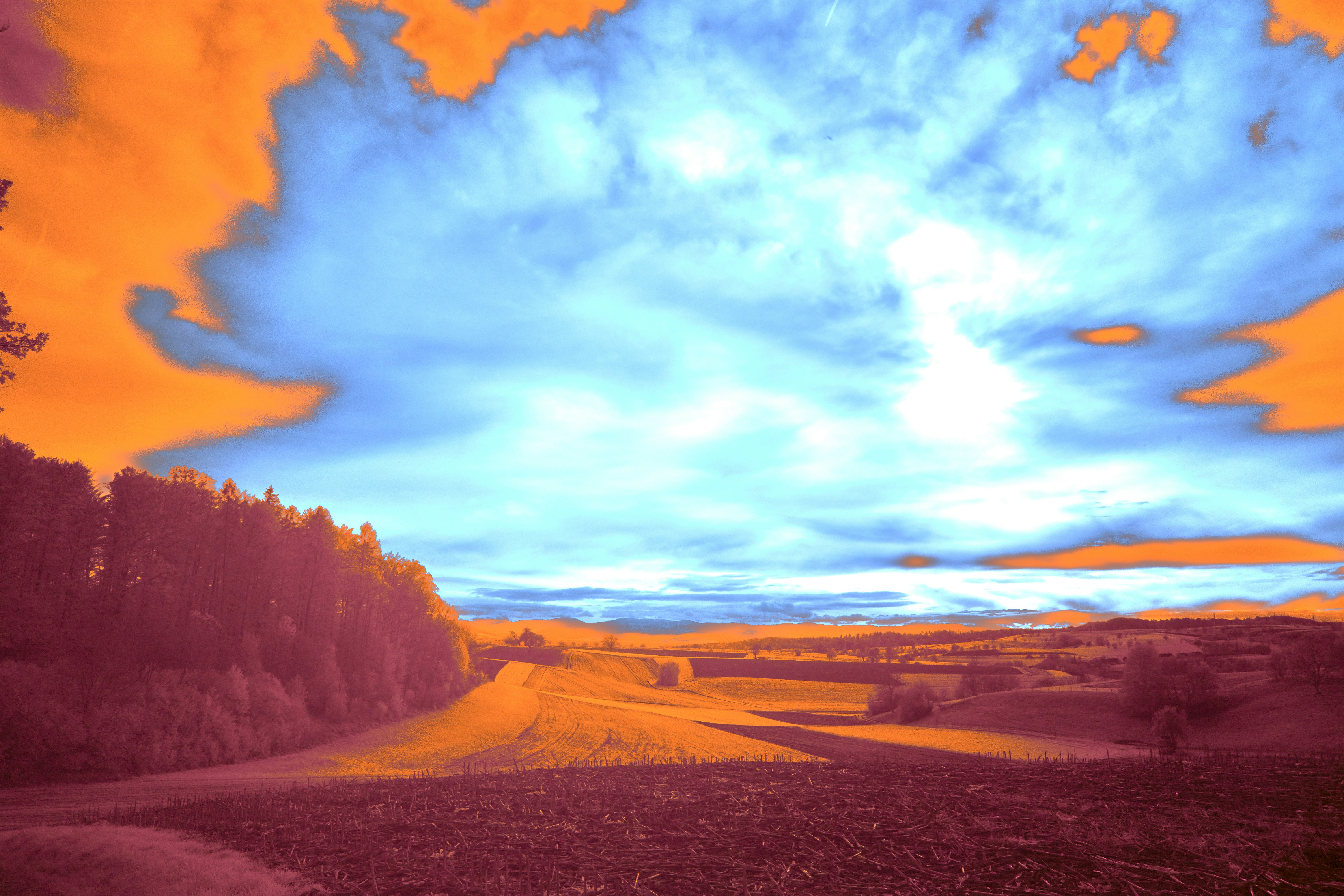 Photo by wolfgang_hasselmann