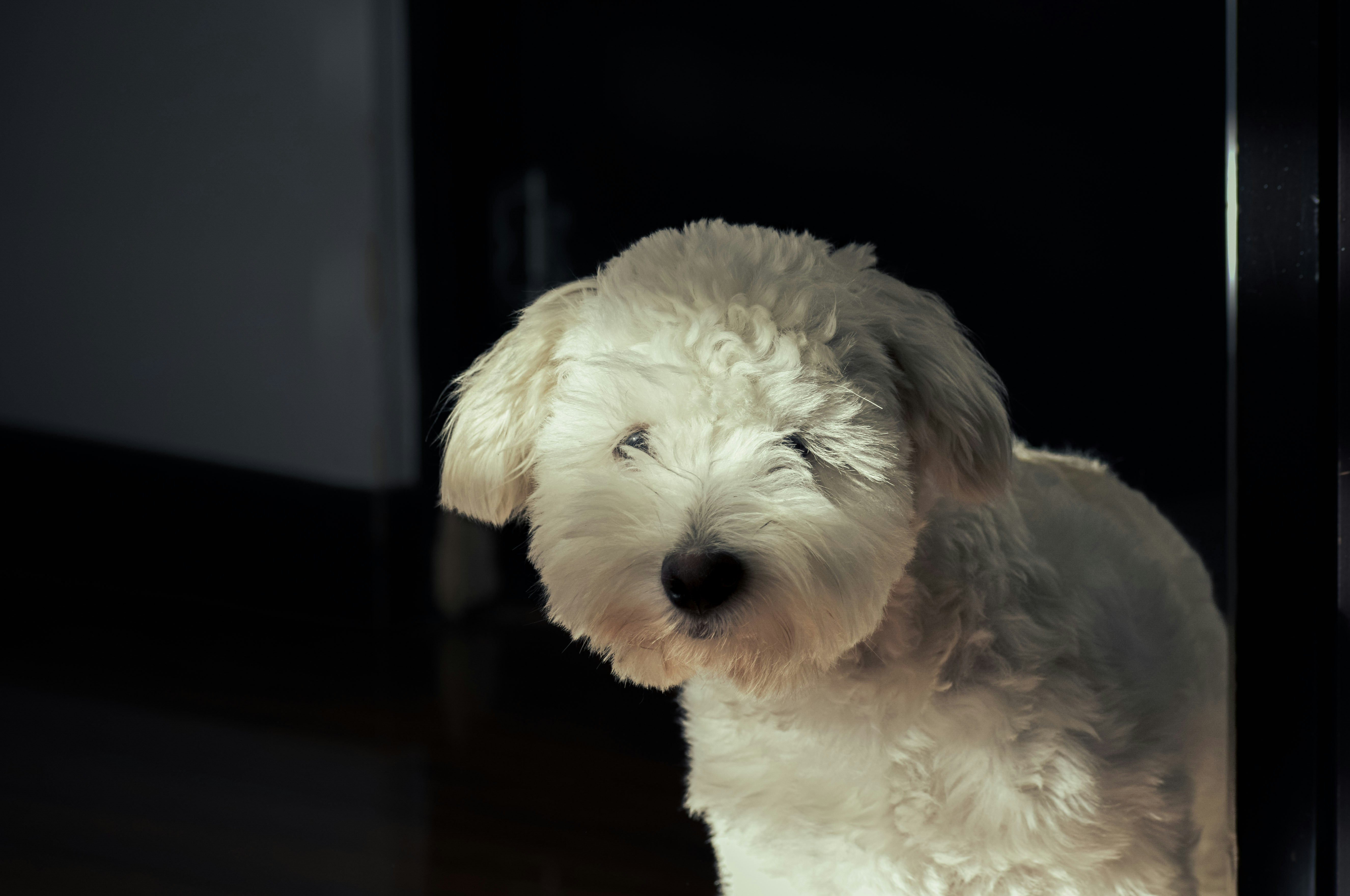 Photo by sebaslaverde_nkn