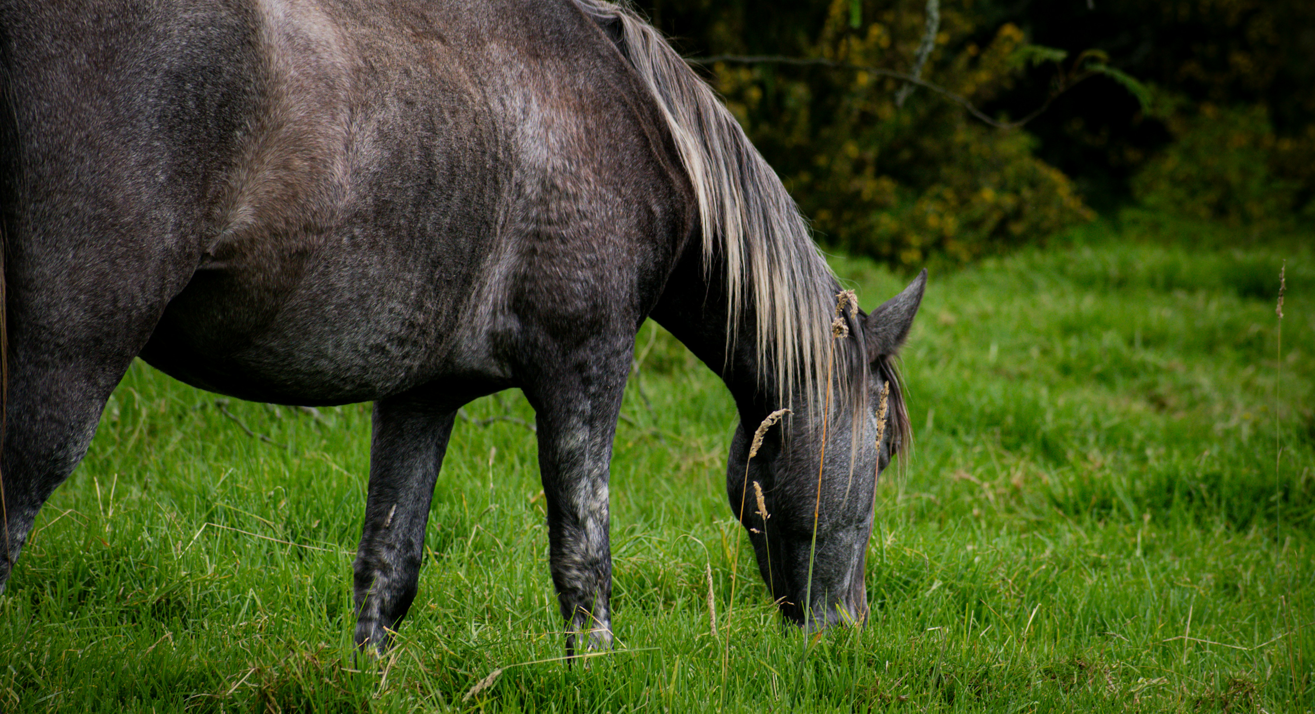 Photo by sebaslaverde_nkn