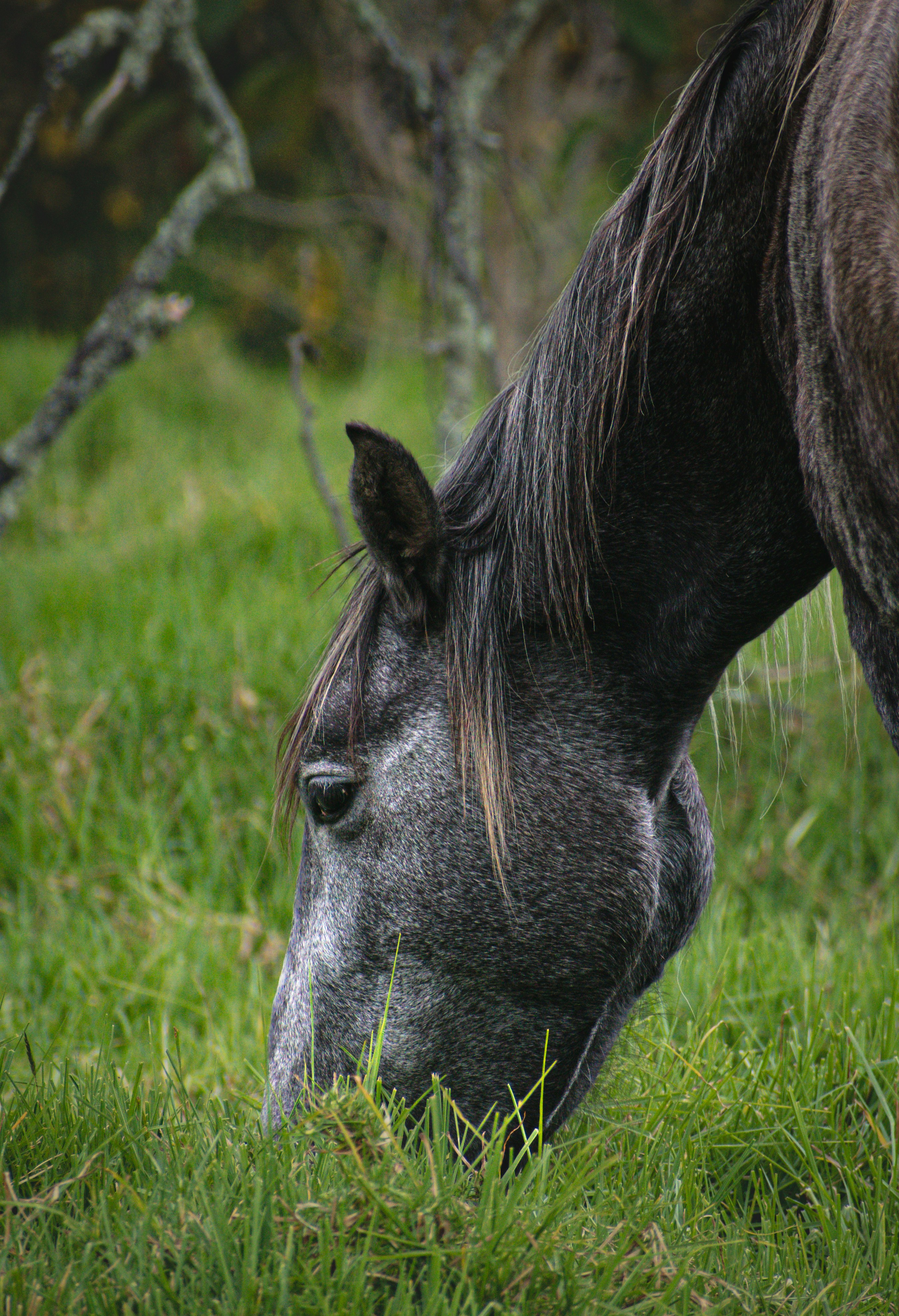 Photo by sebaslaverde_nkn