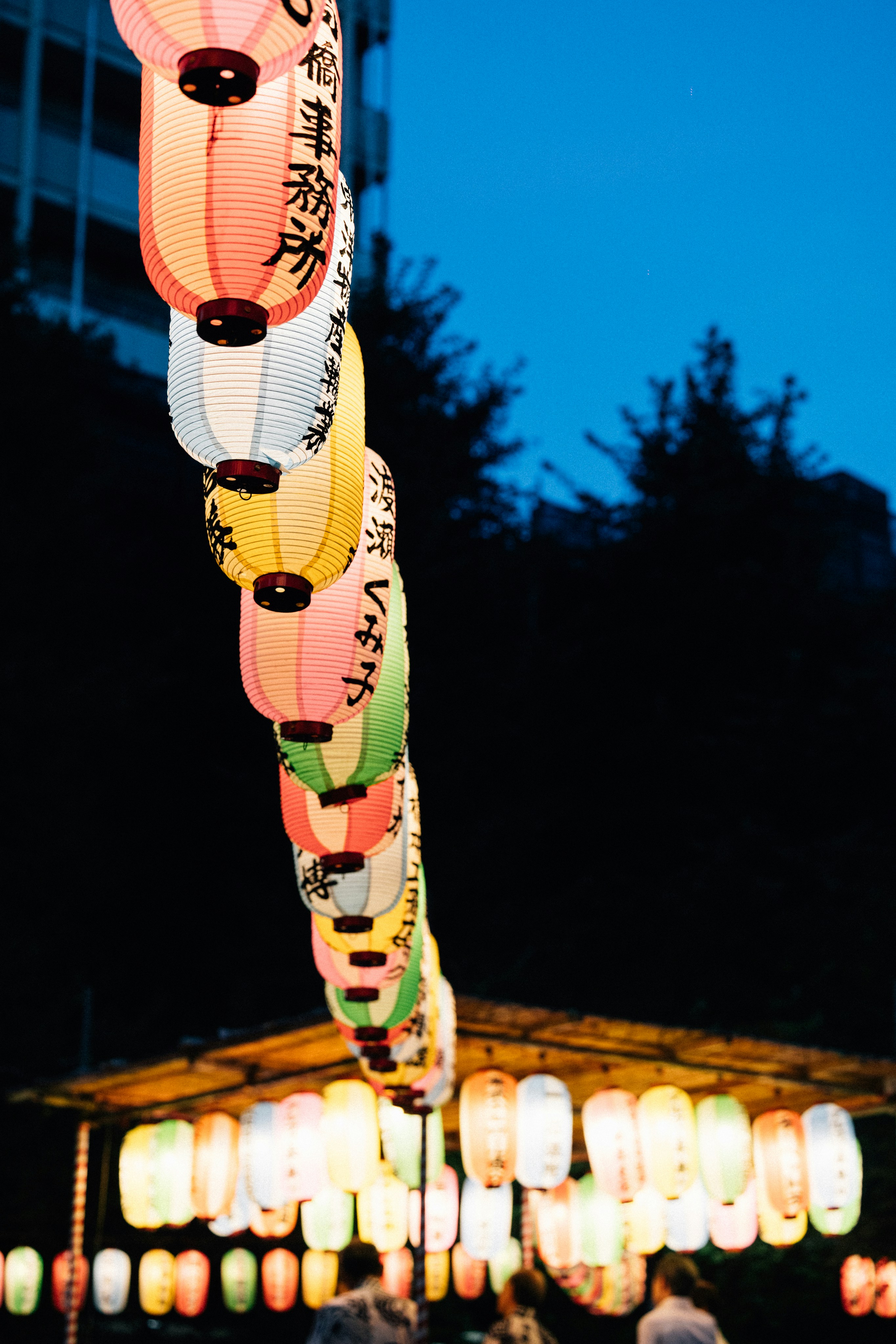 Budget Breakdown: Festival Travel Costs in 2026
