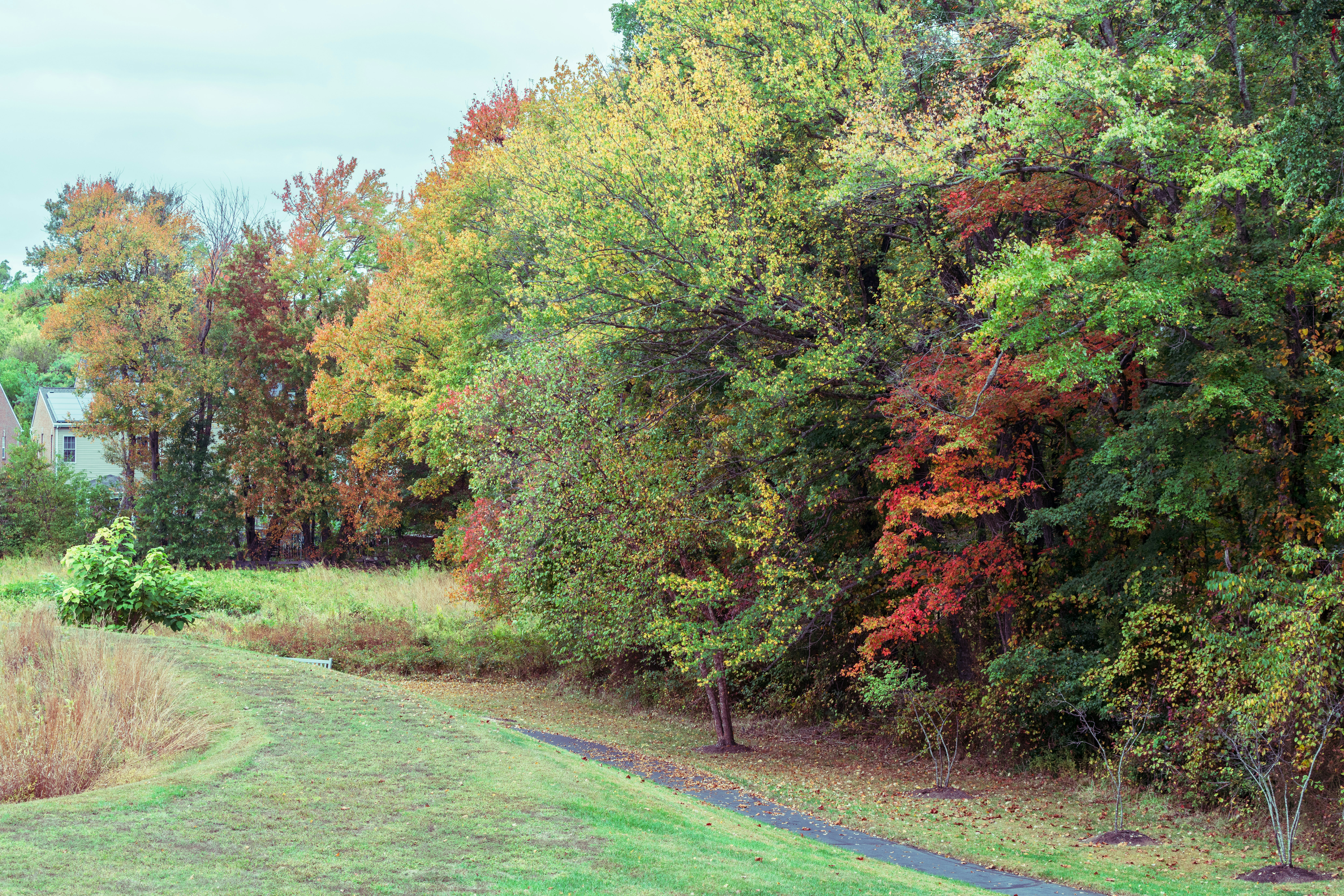 Photo by sriniunsplash