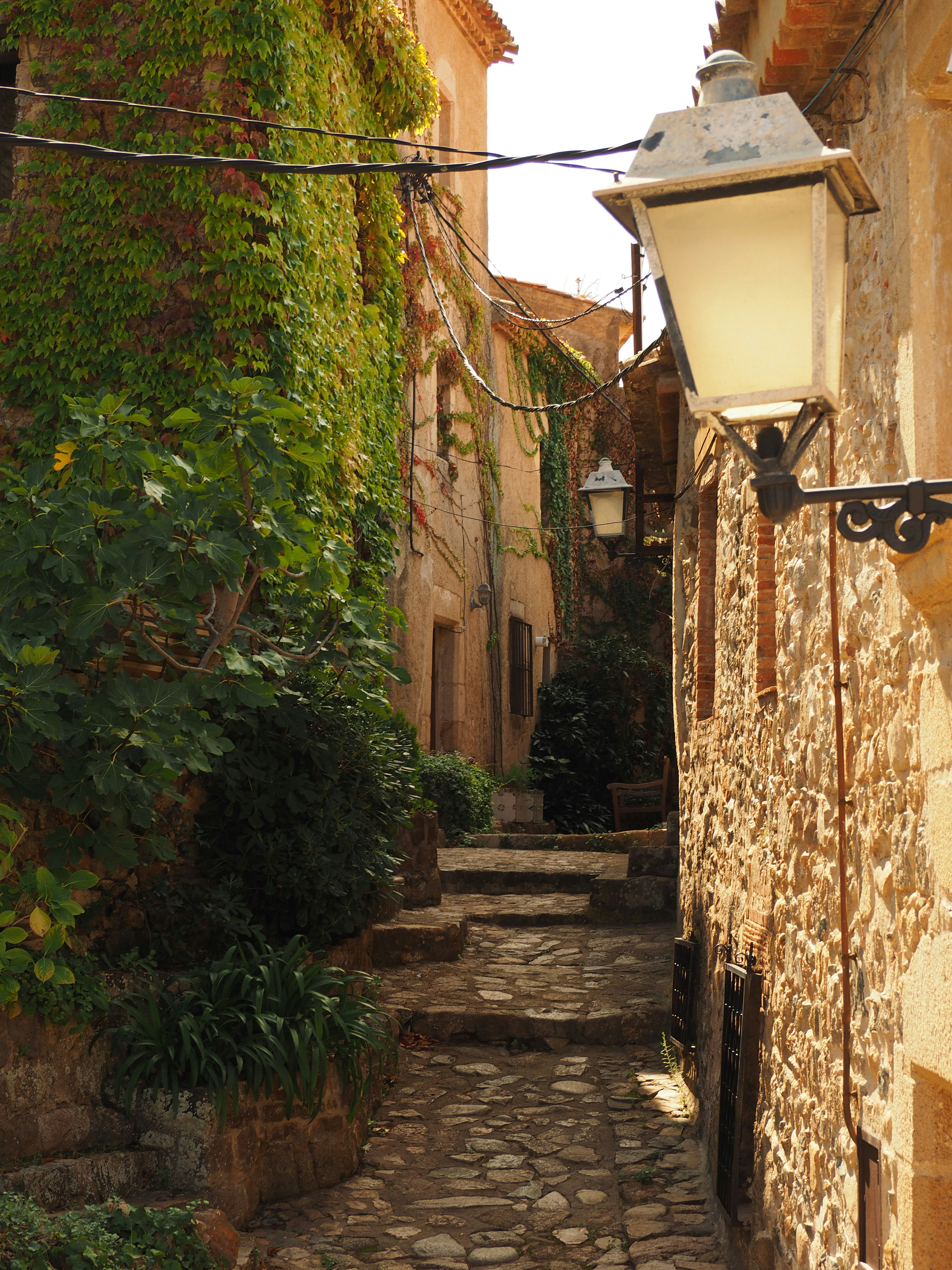 Photo by photographyhues