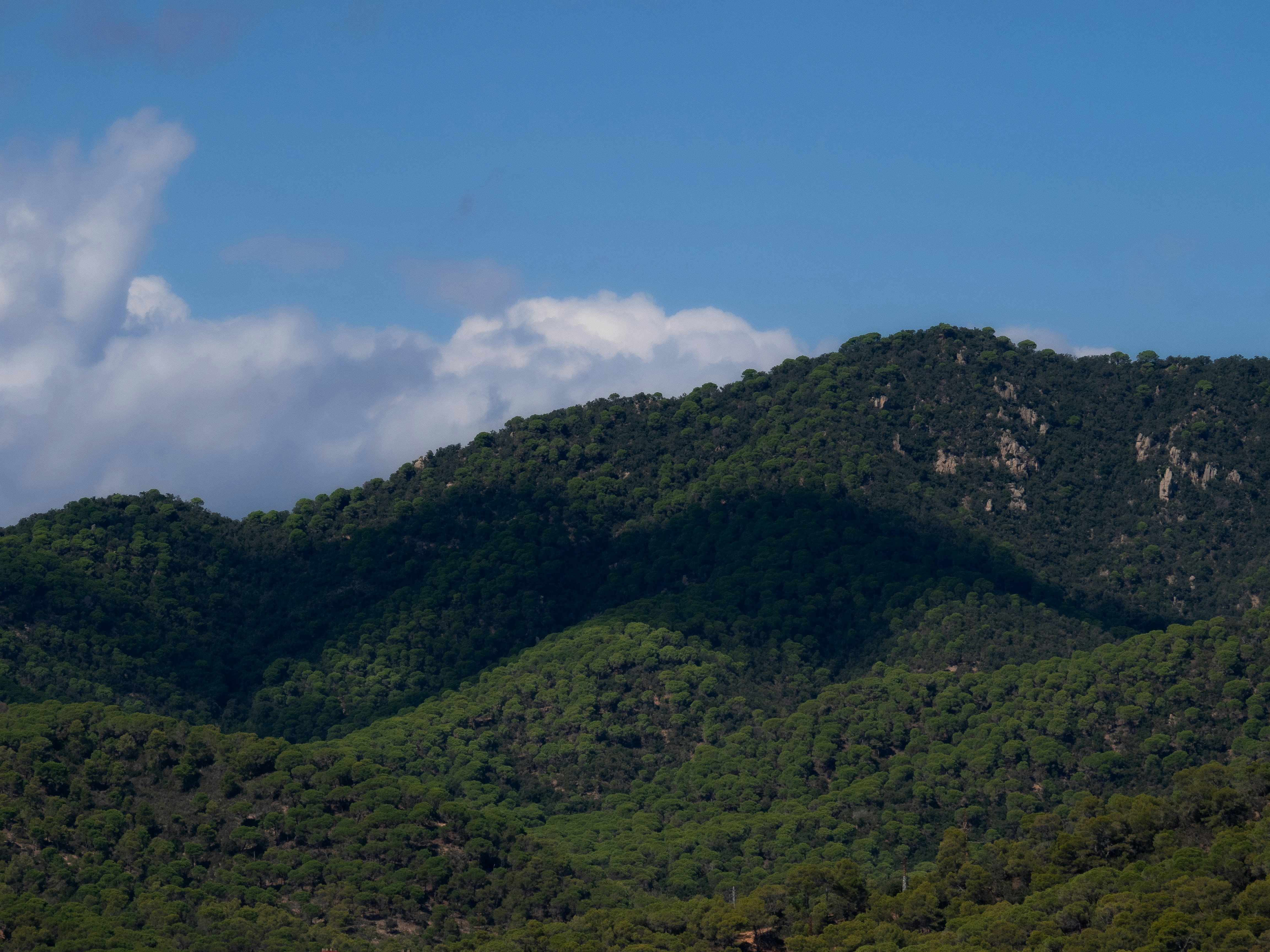 Photo by photographyhues