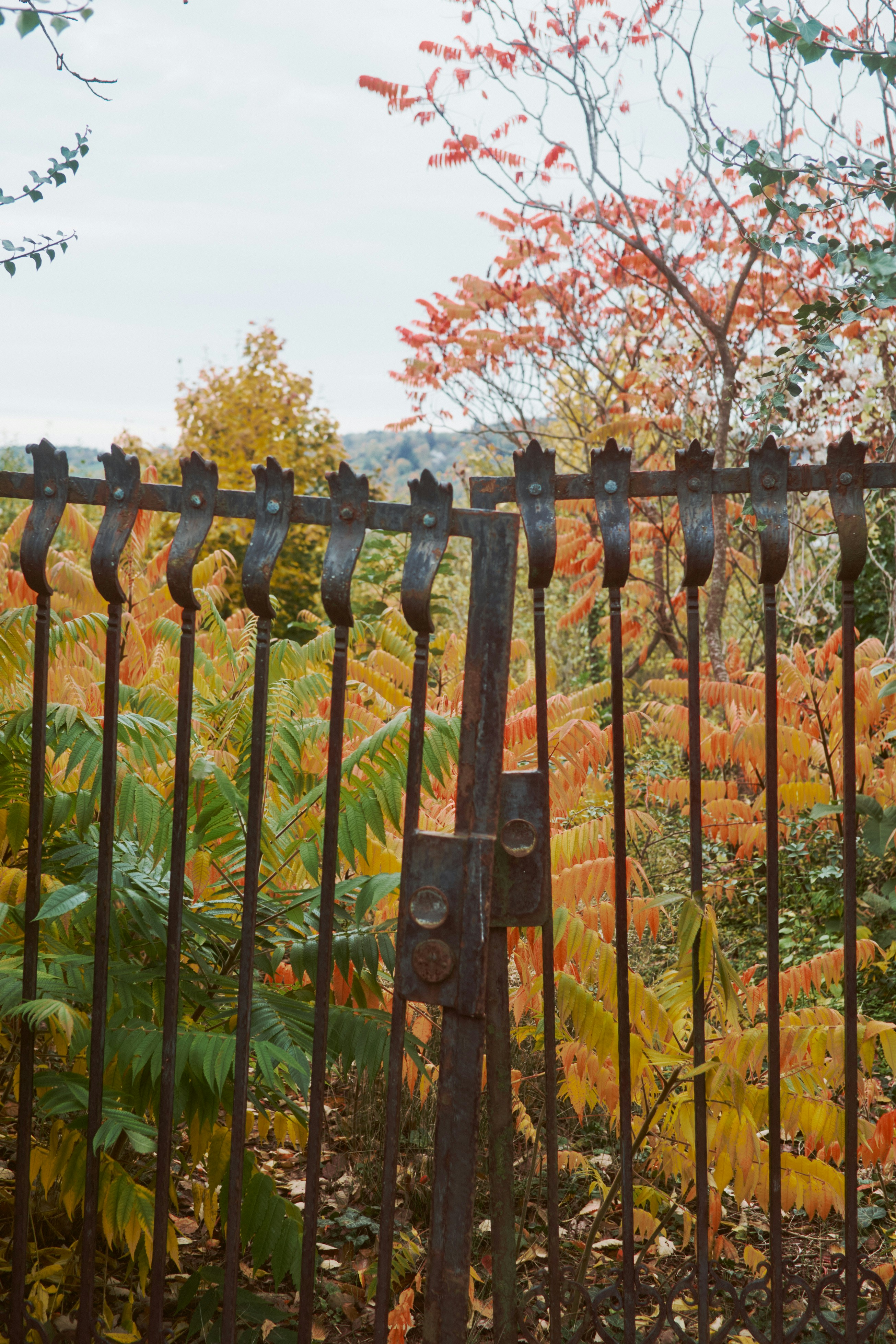 Rusty gate with autumn foliage in background