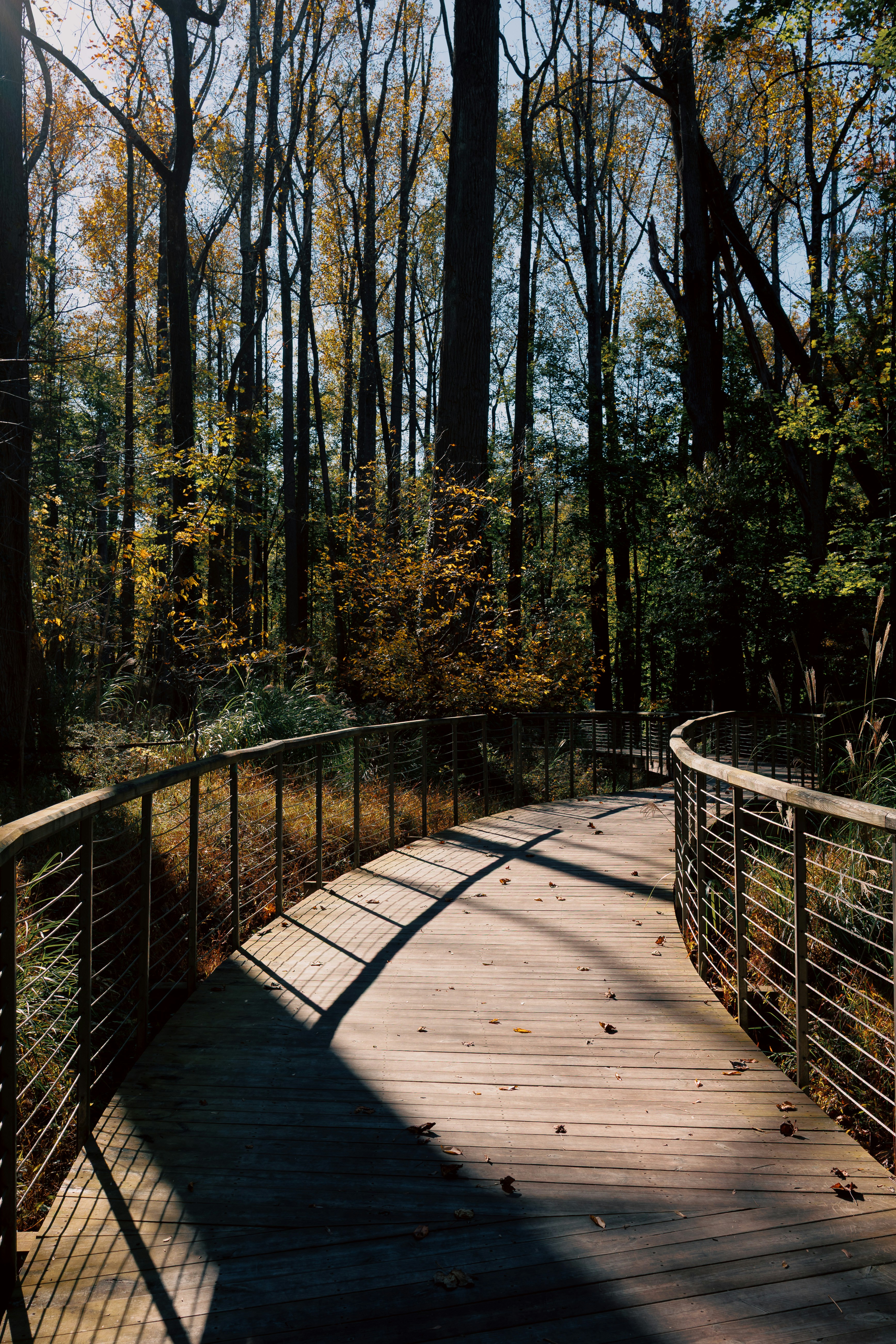 Photo by stills_byliz