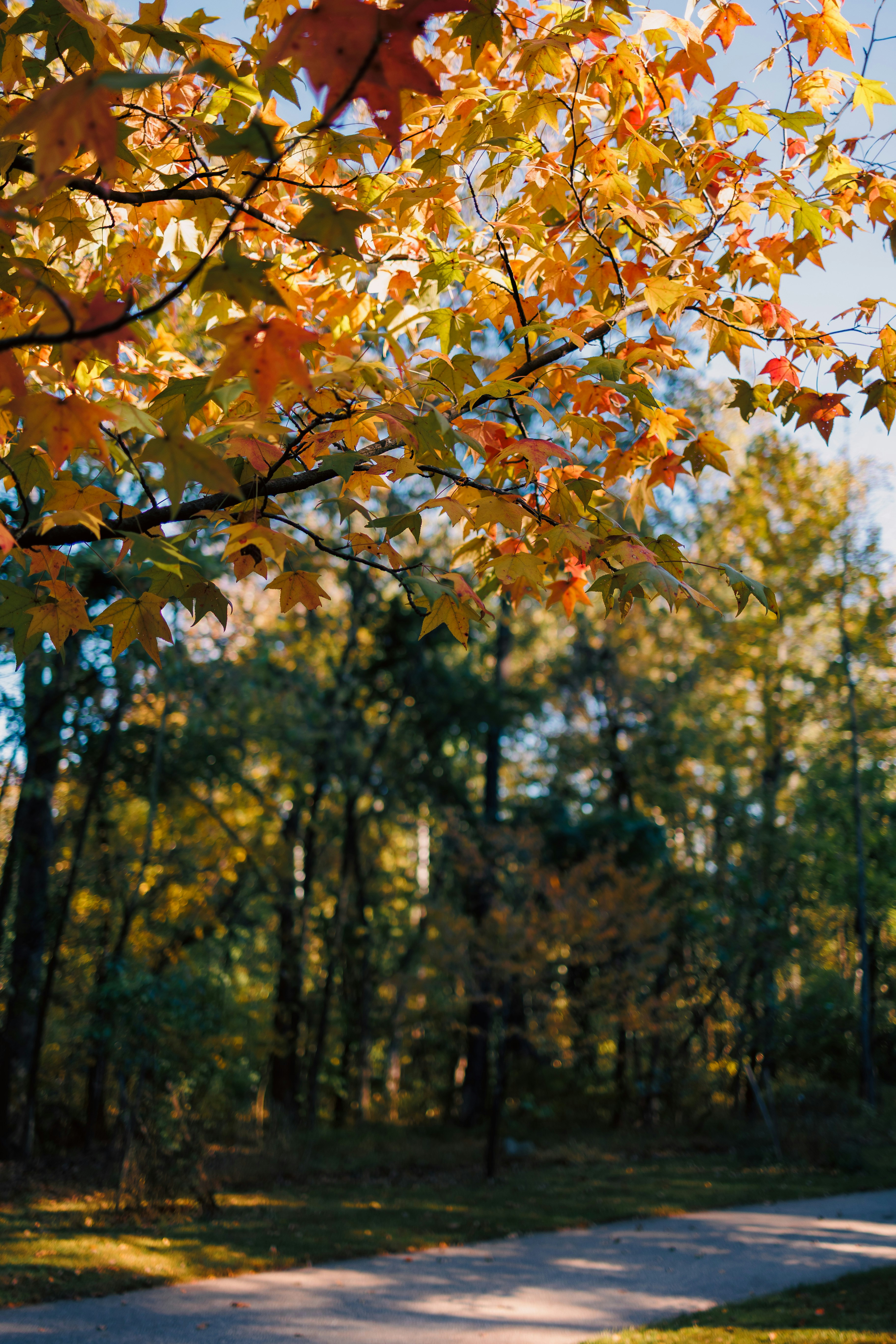 Photo by stills_byliz