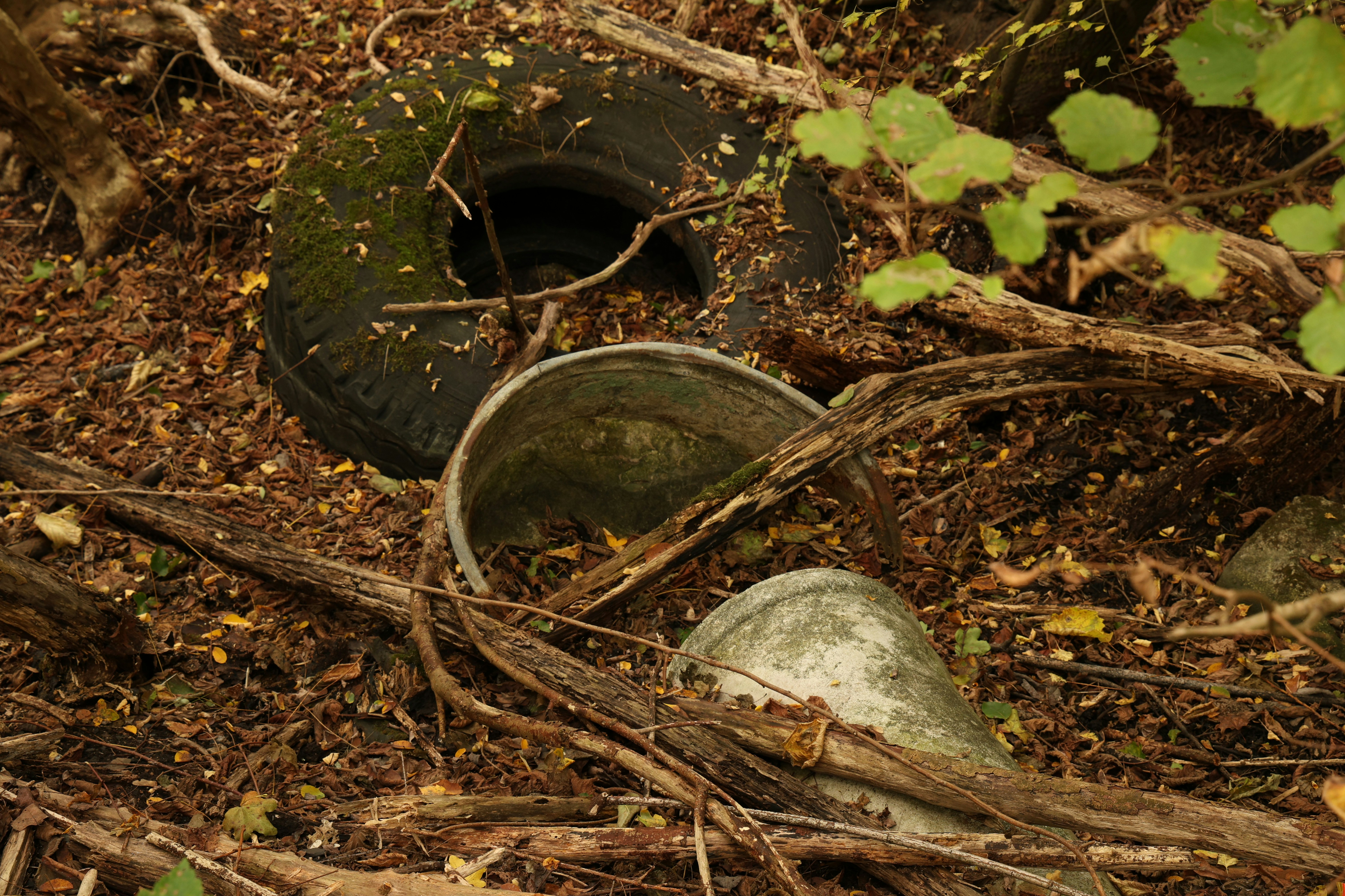 Llanta desechada y cubo de metal en escombros forestales.