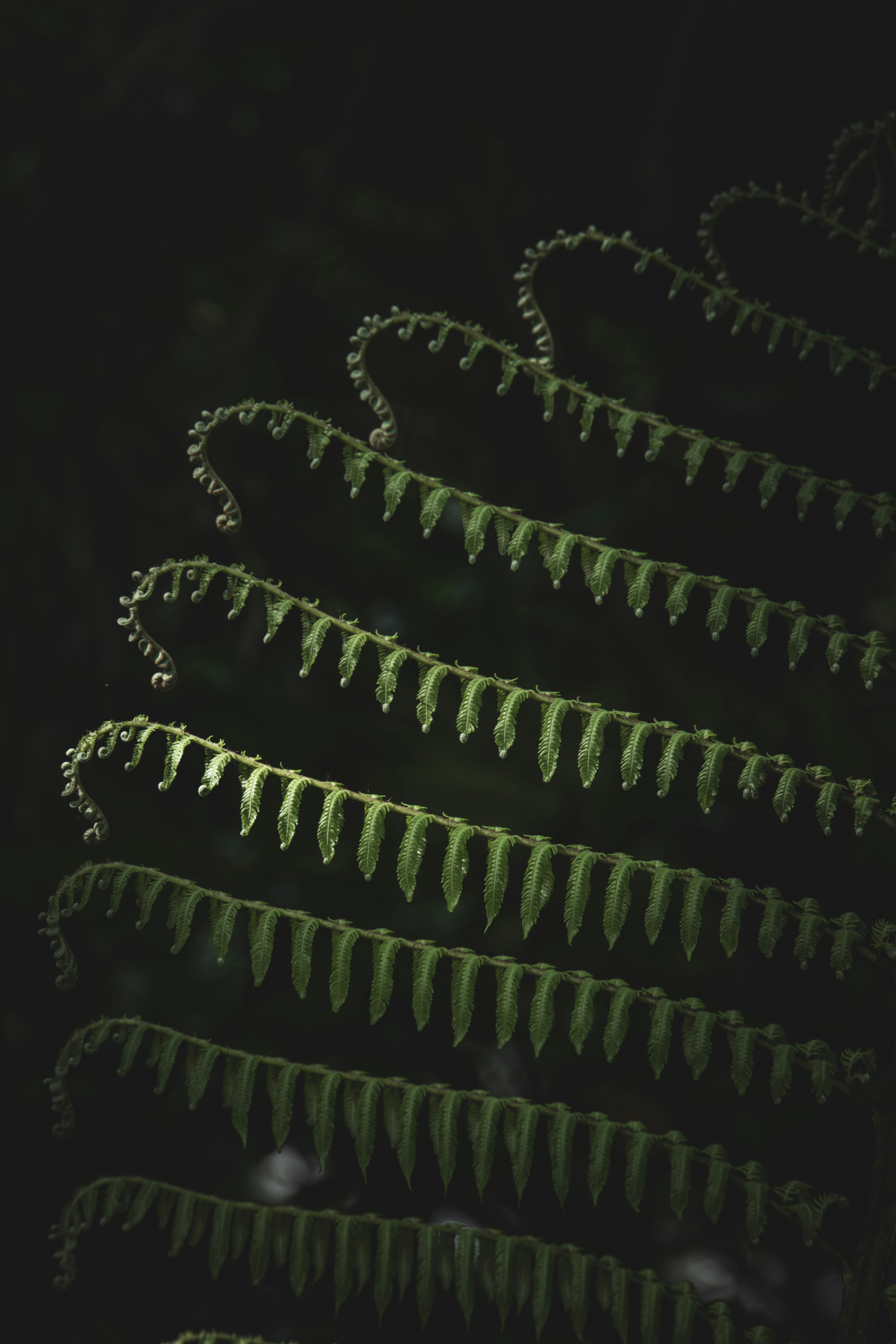 Photo by francesco_ungaro