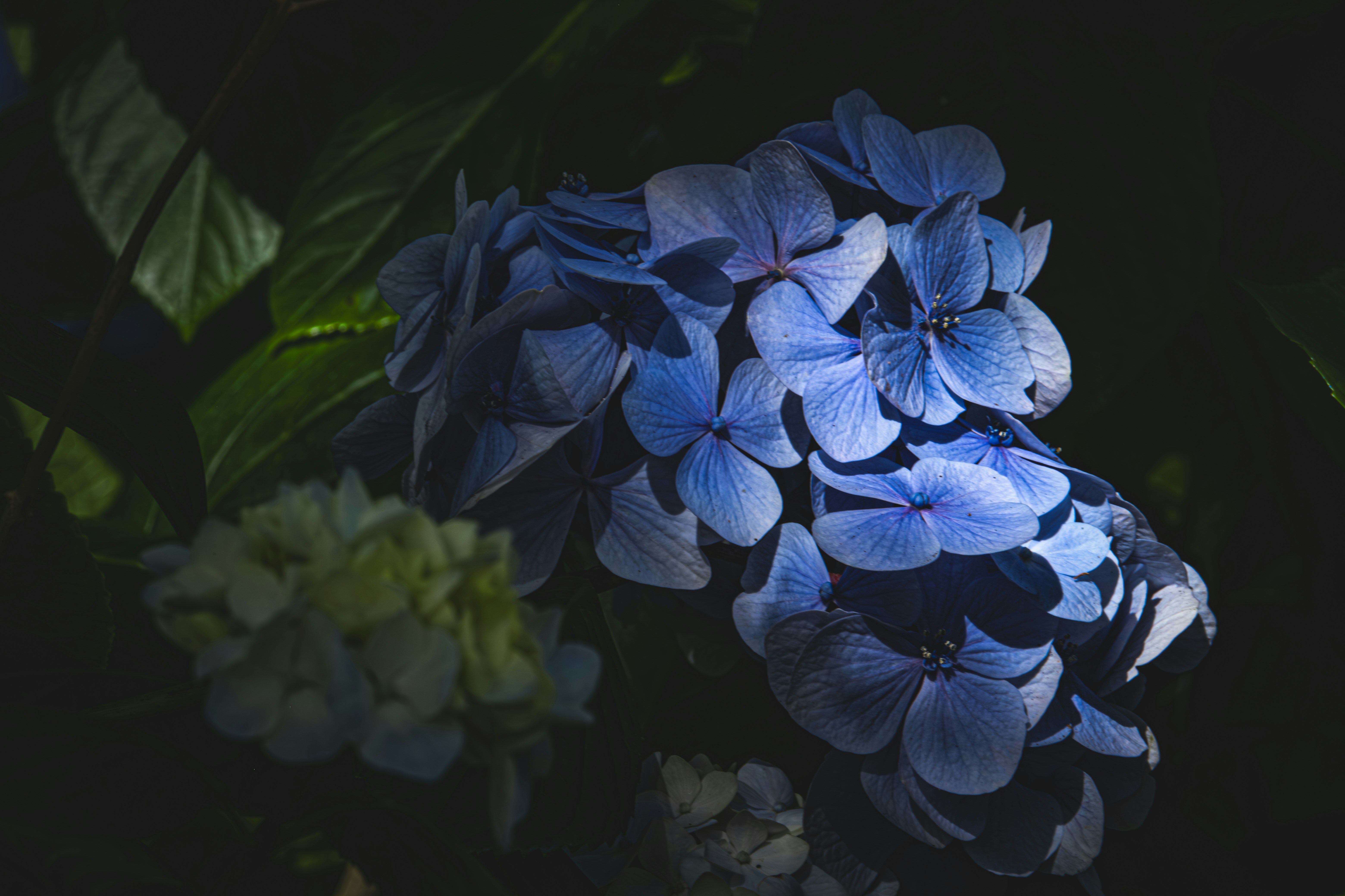 Photo by francesco_ungaro