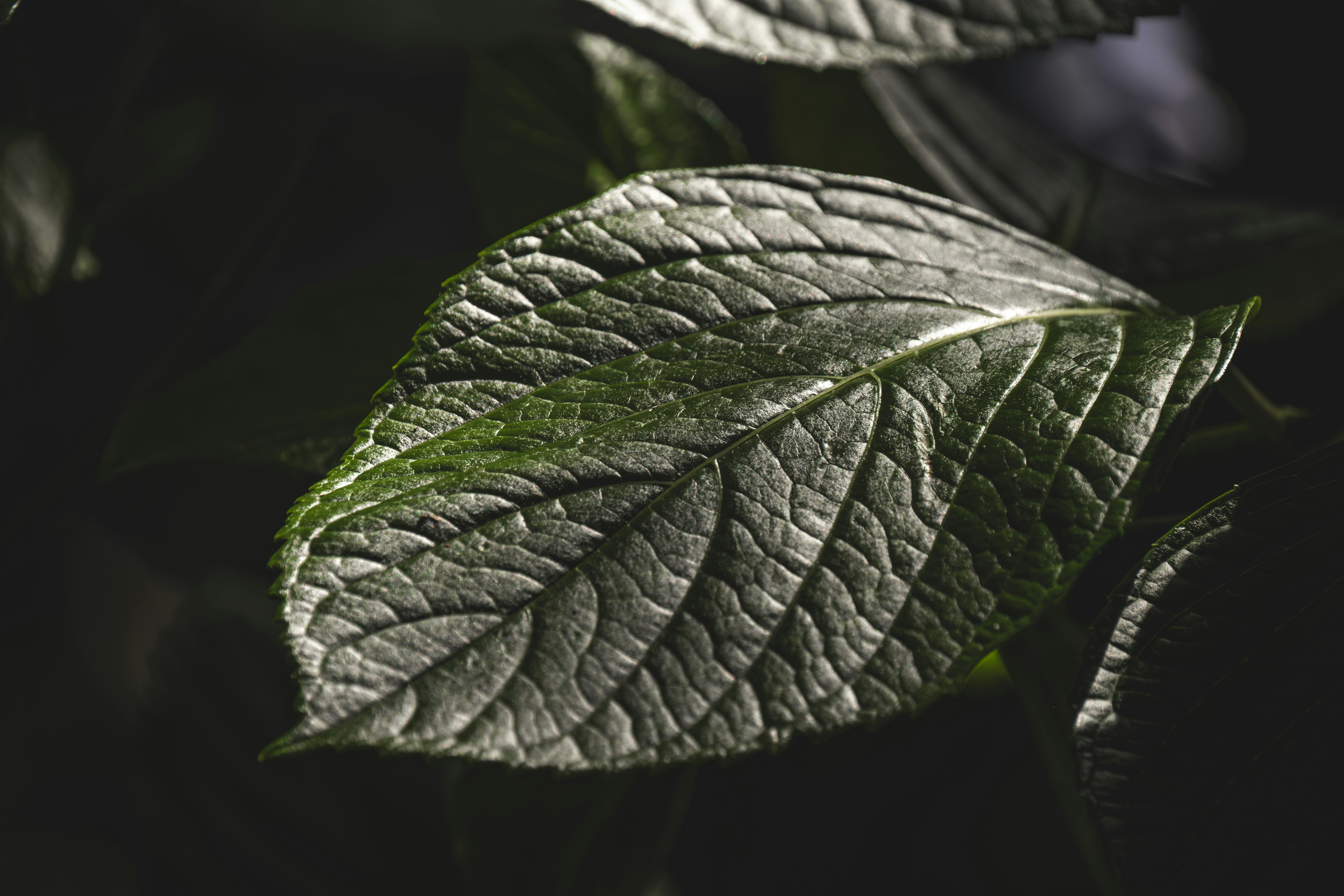 Photo by francesco_ungaro