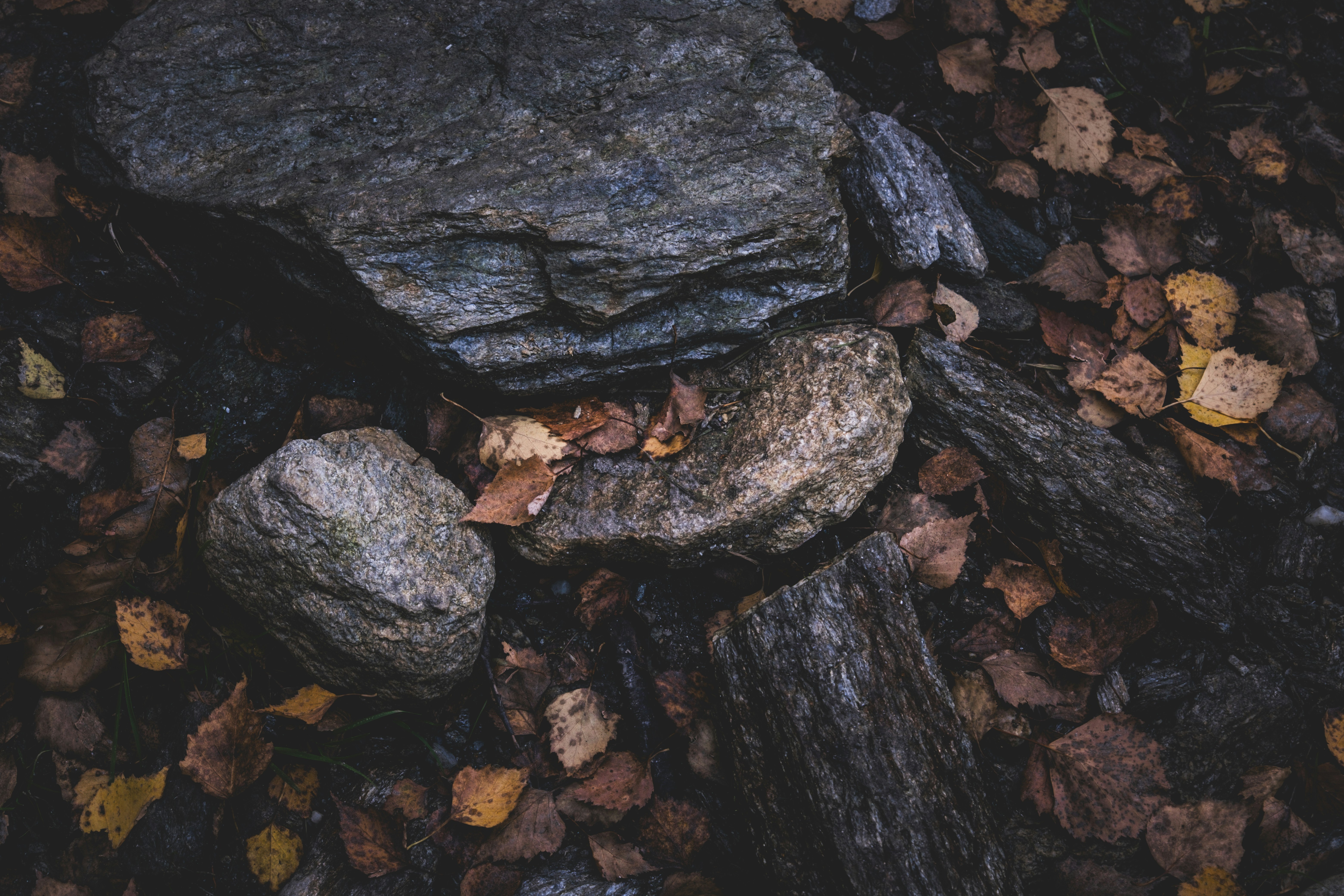 Photo by francesco_ungaro