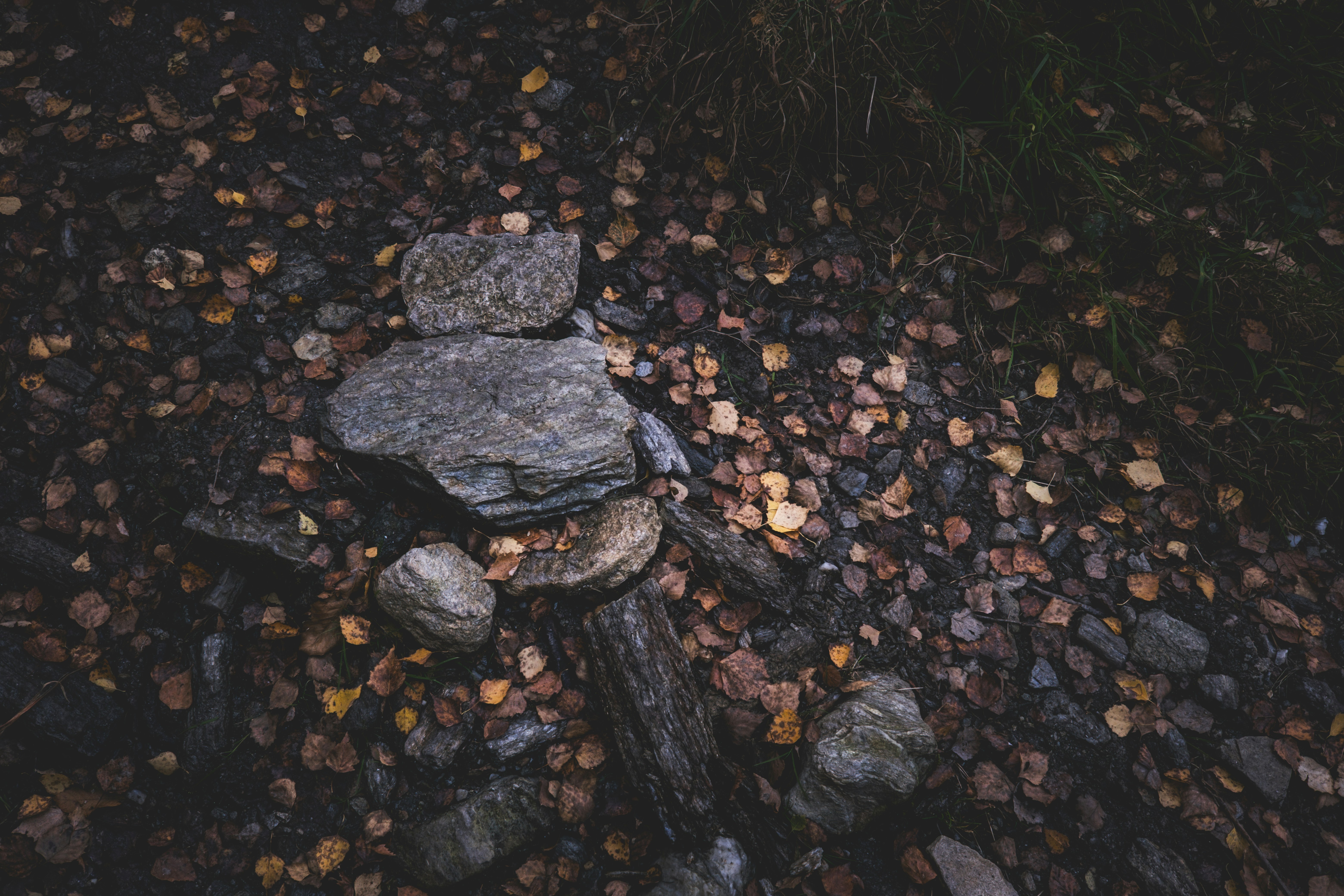 Photo by francesco_ungaro