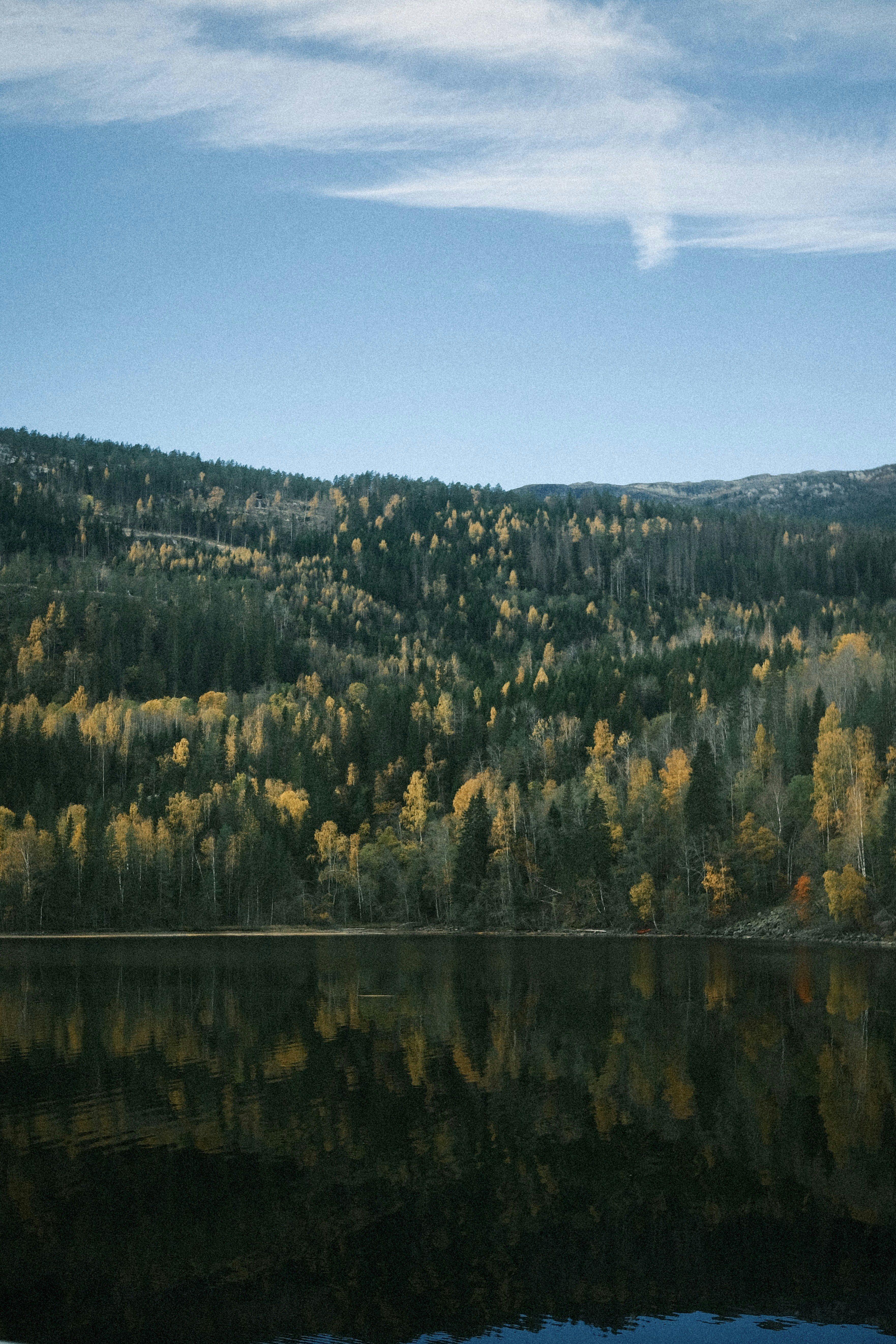 Photo by niklasjesper