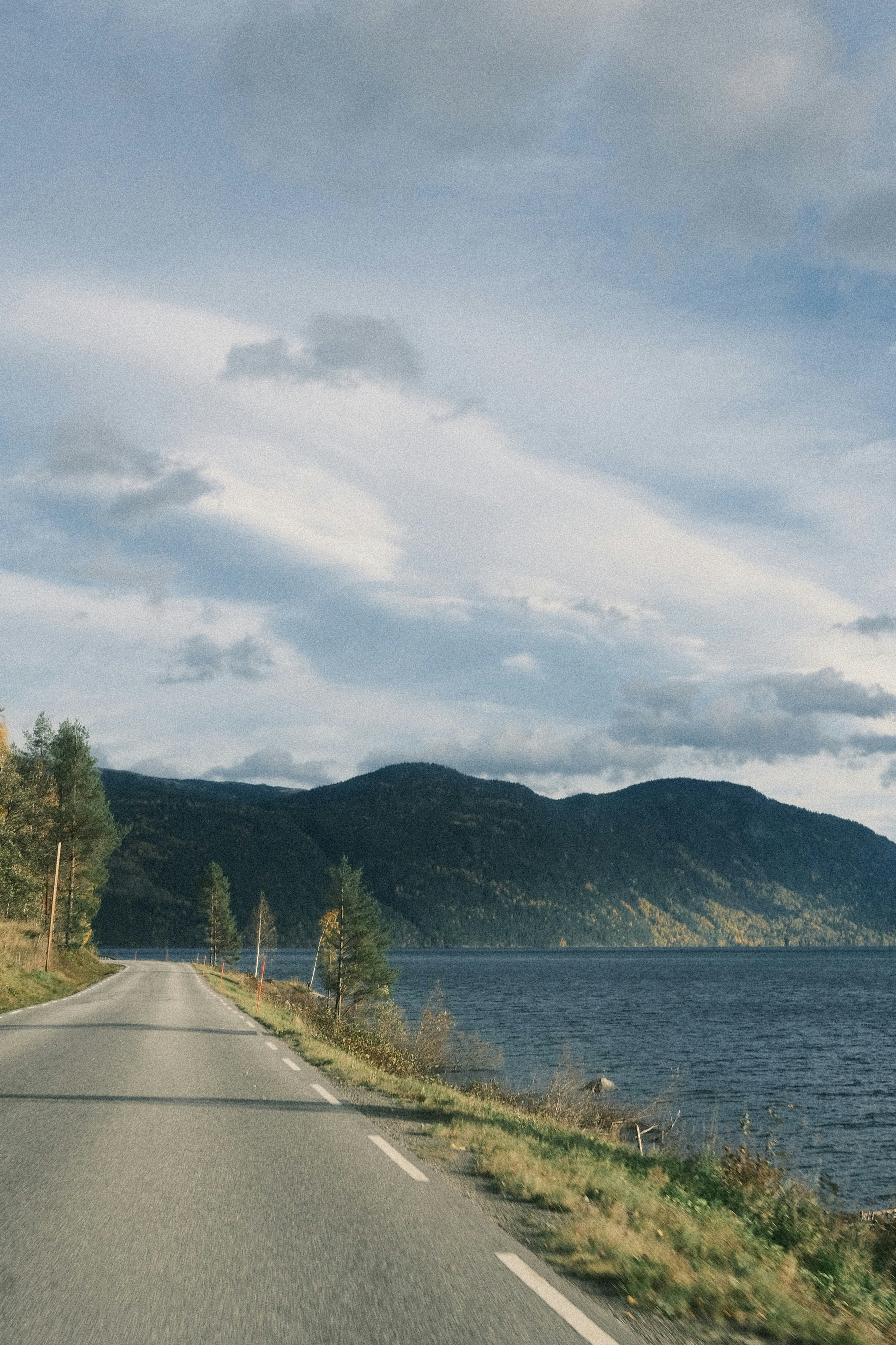 Photo by niklasjesper