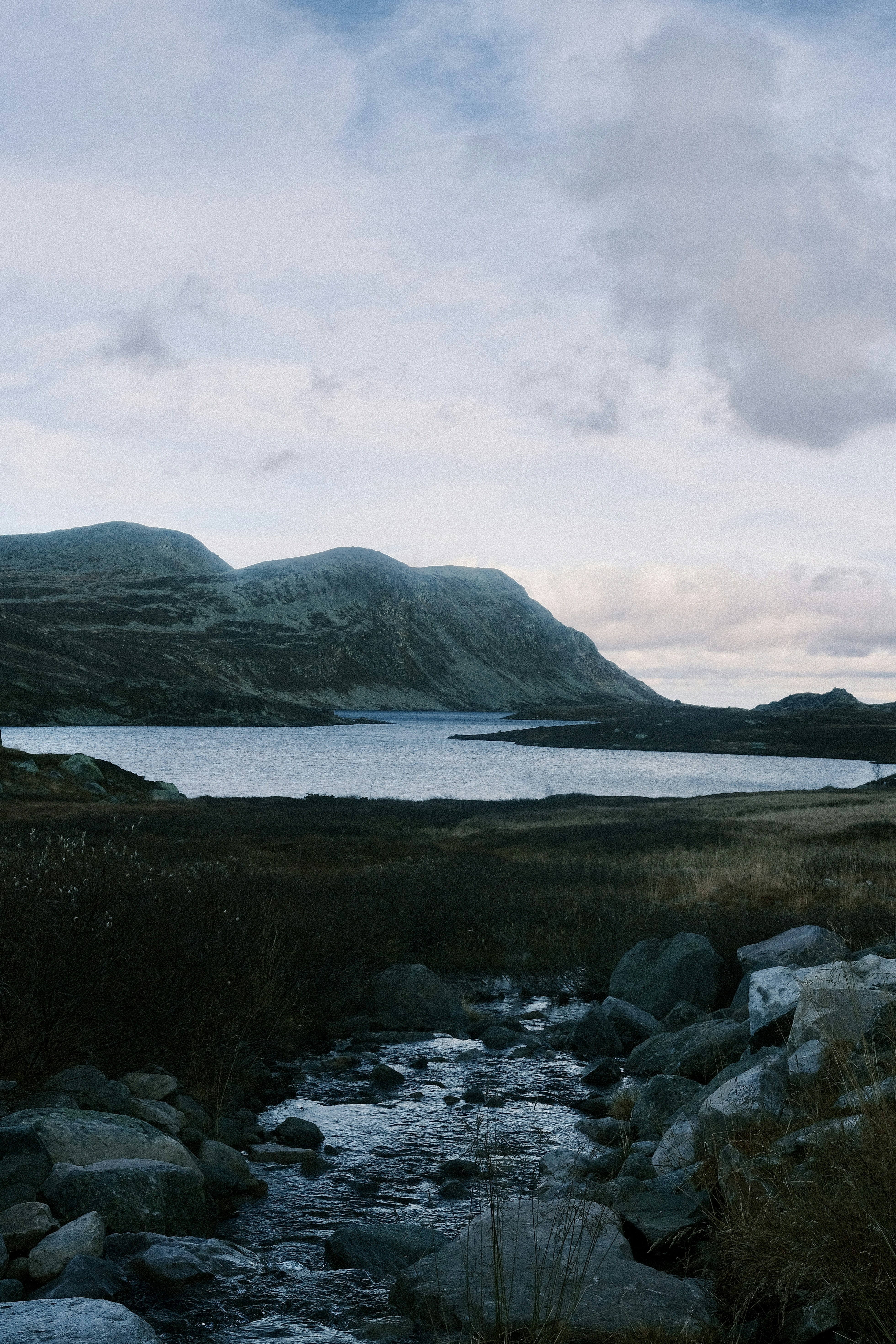 Photo by niklasjesper