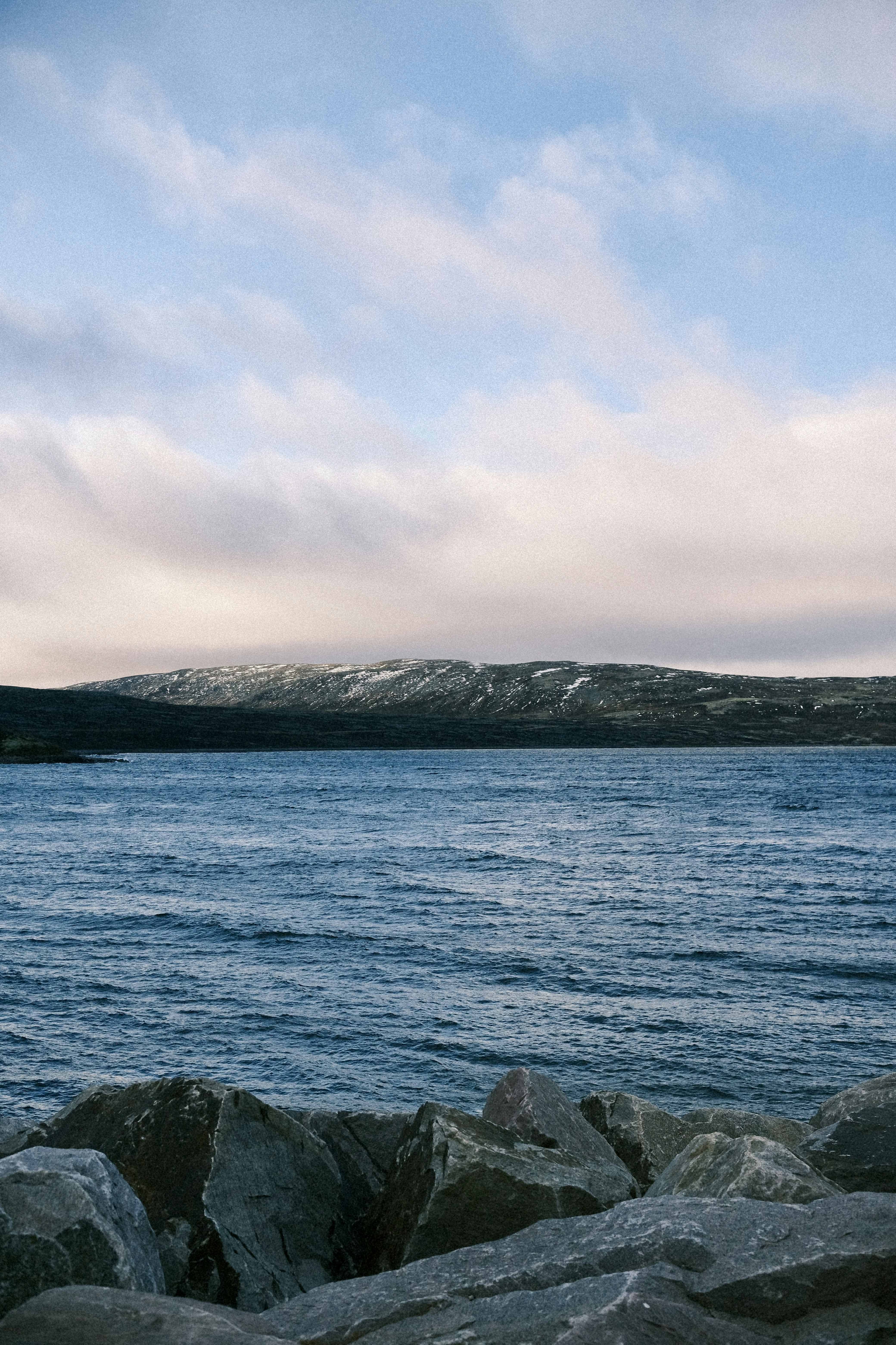 Photo by niklasjesper