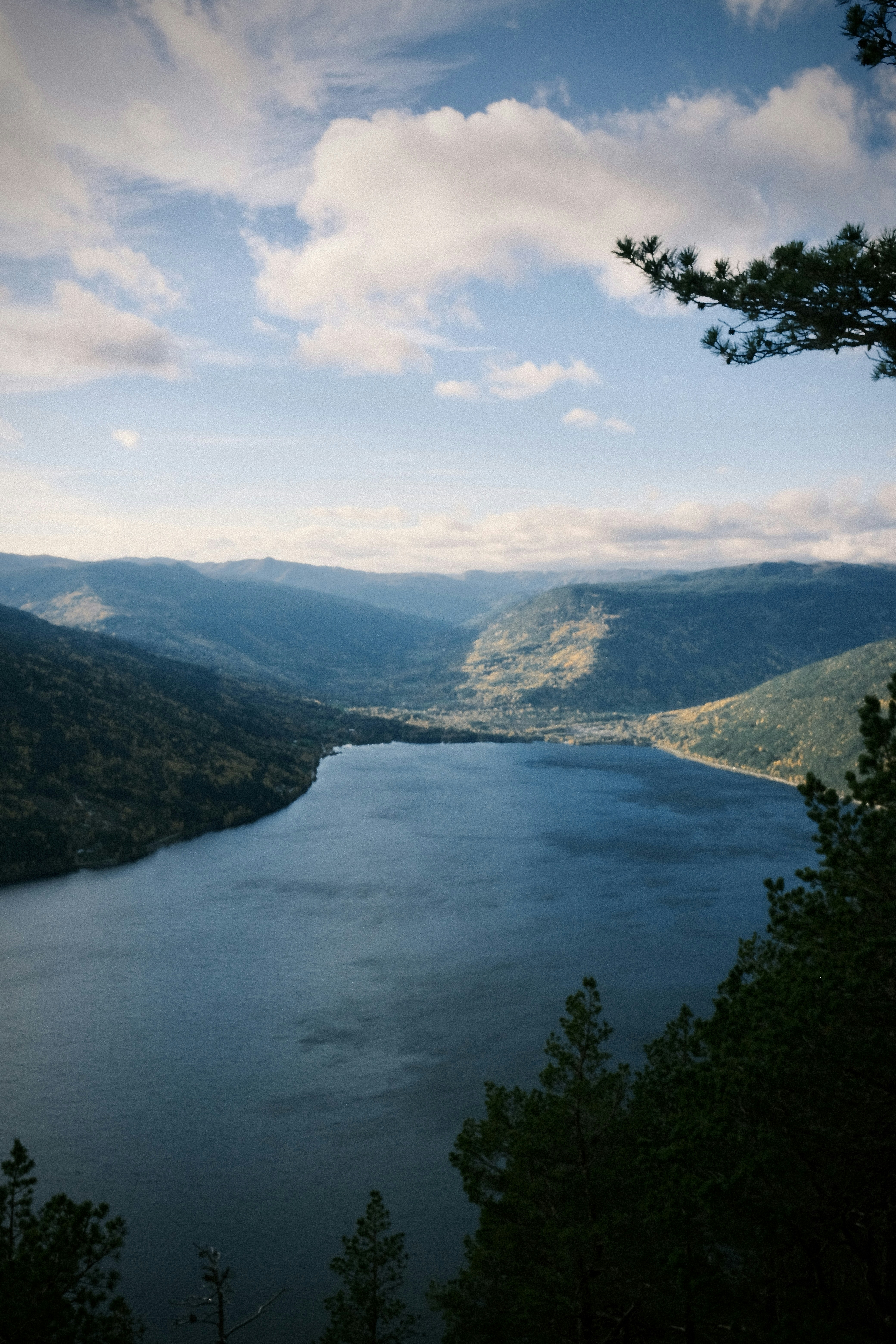 Photo by niklasjesper