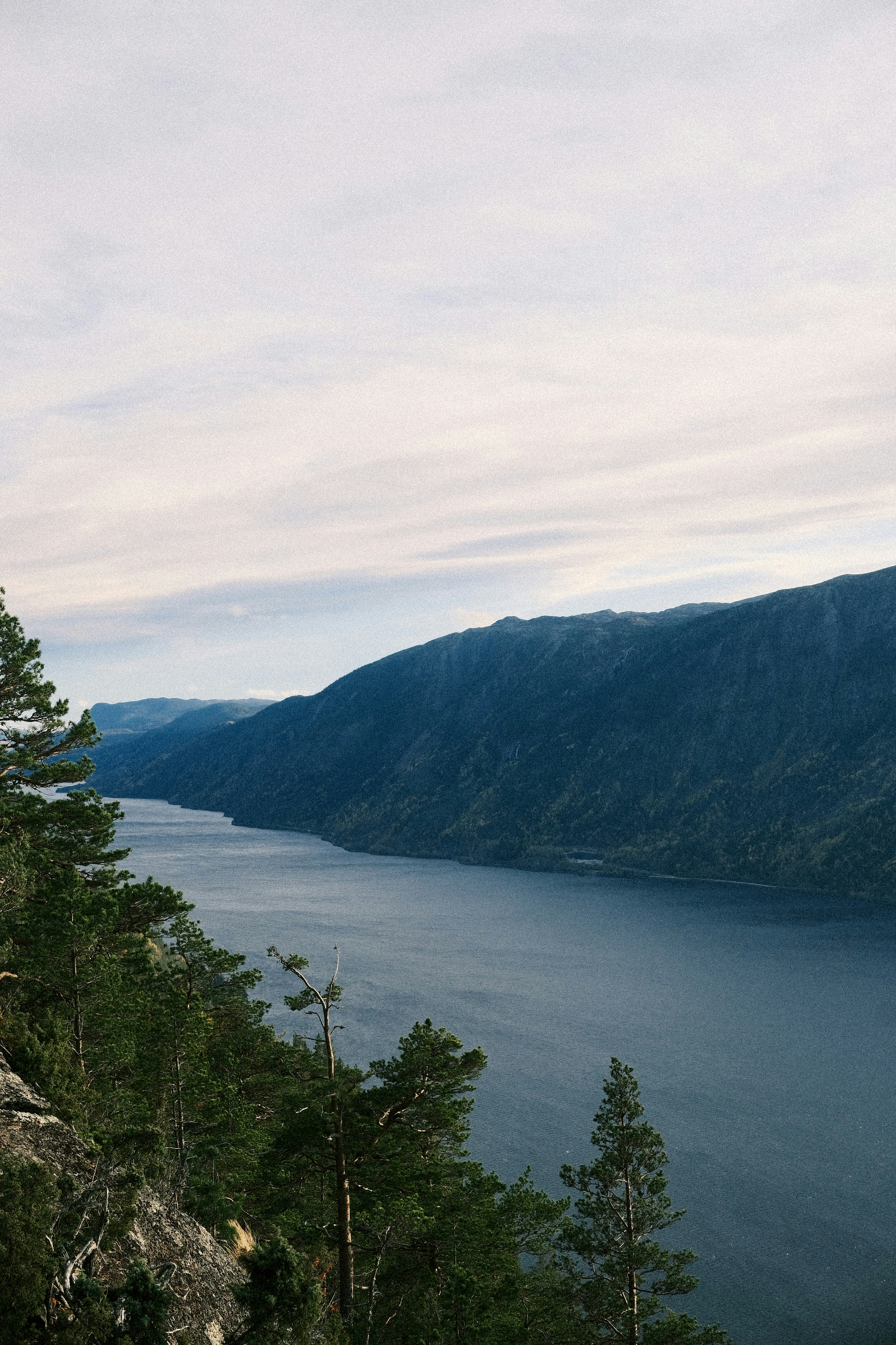 Photo by niklasjesper