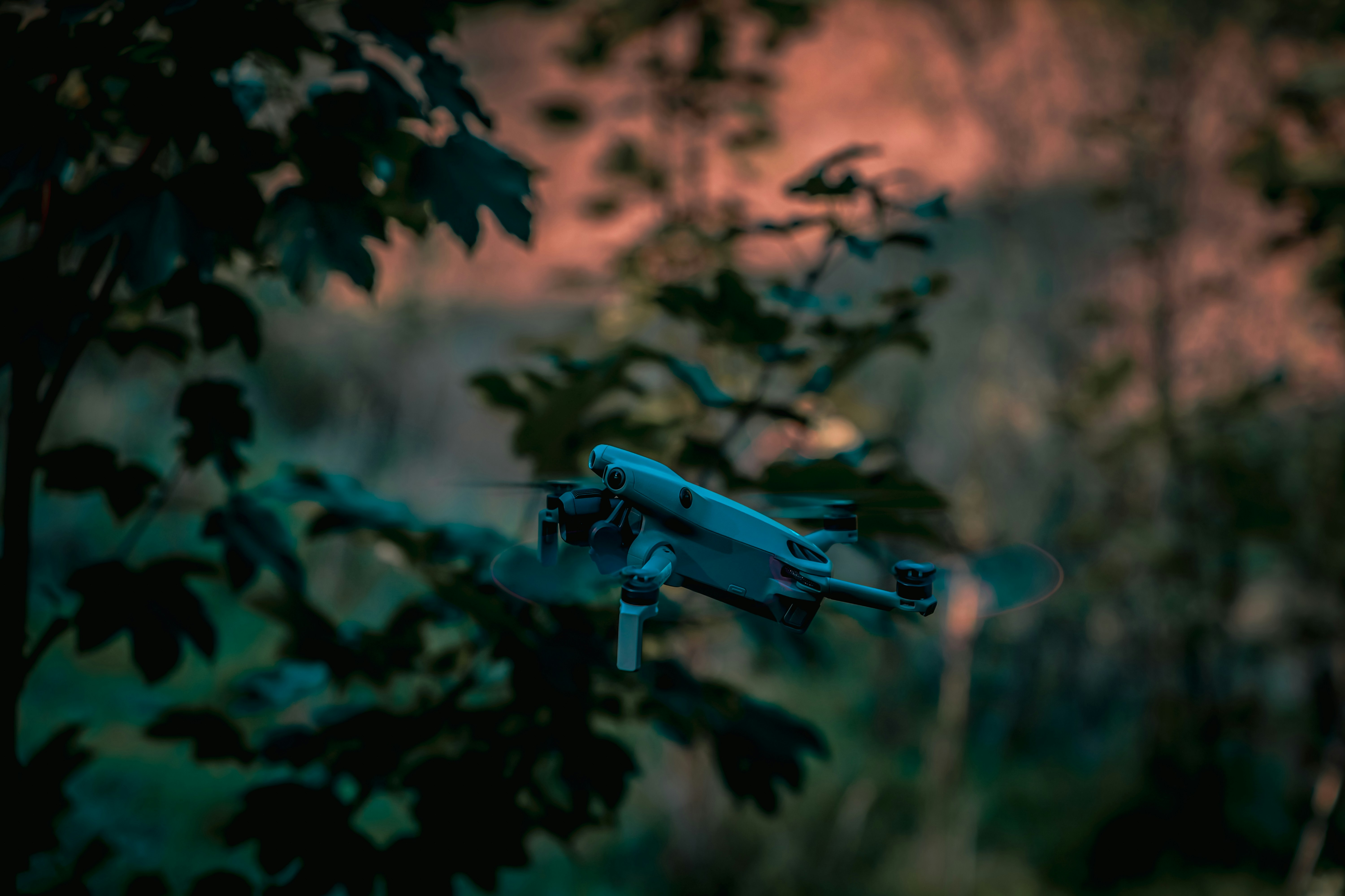 A drone flies through trees at dusk