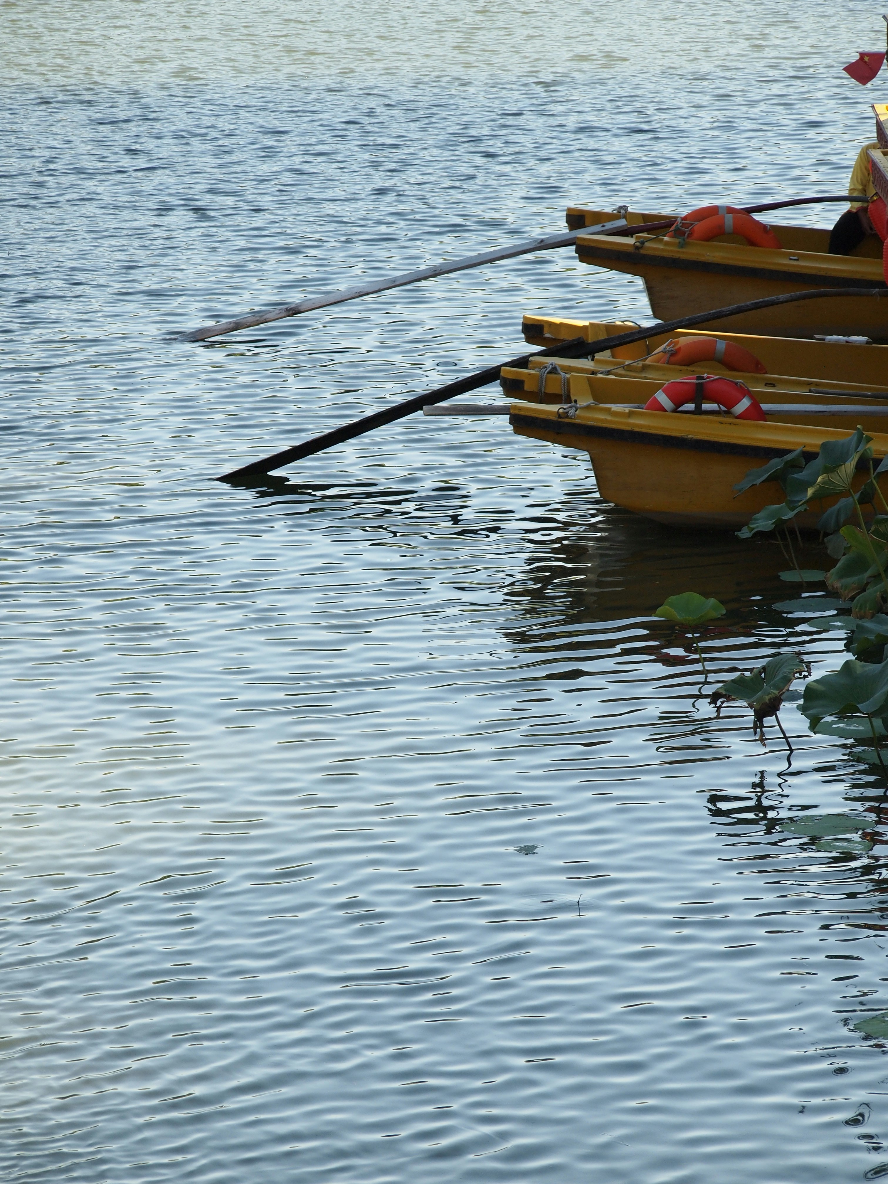 Photo by shawnieyang0606