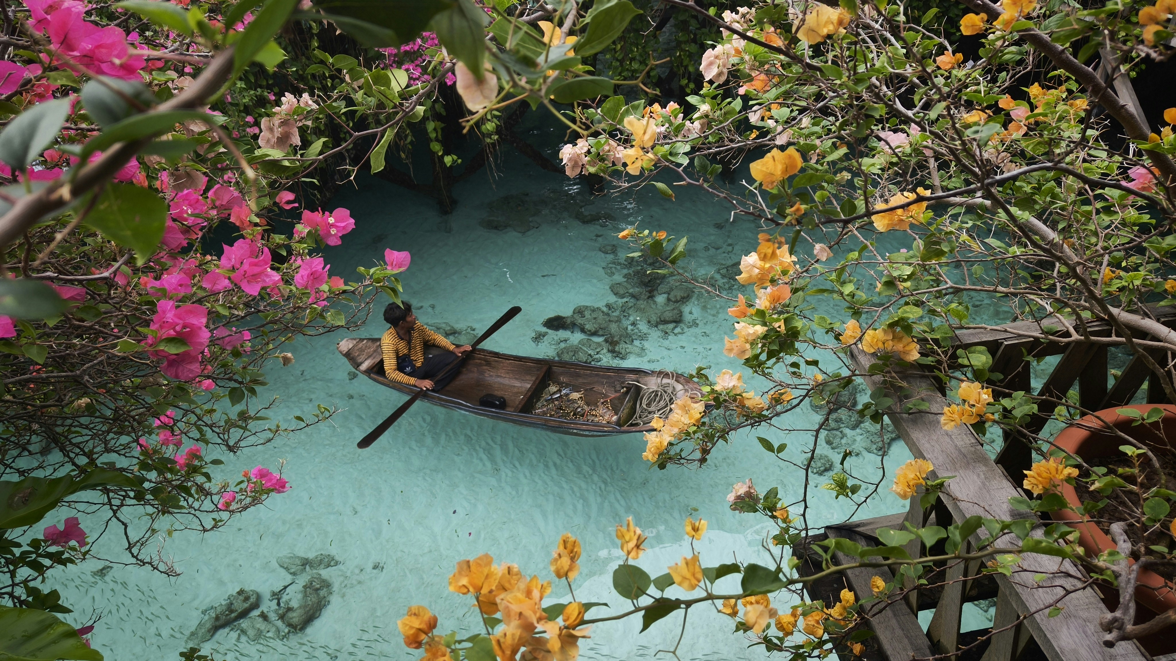 Person rowing boat through clear turquoise water surrounded by flowers