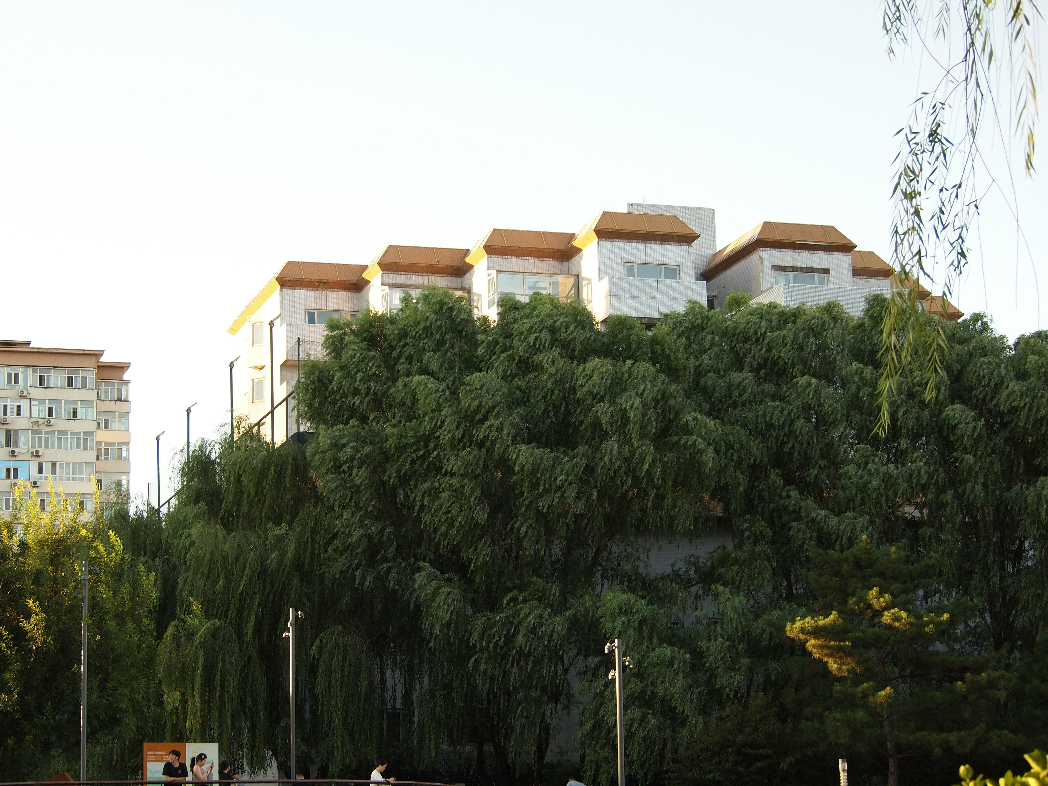 Photo by shawnieyang0606