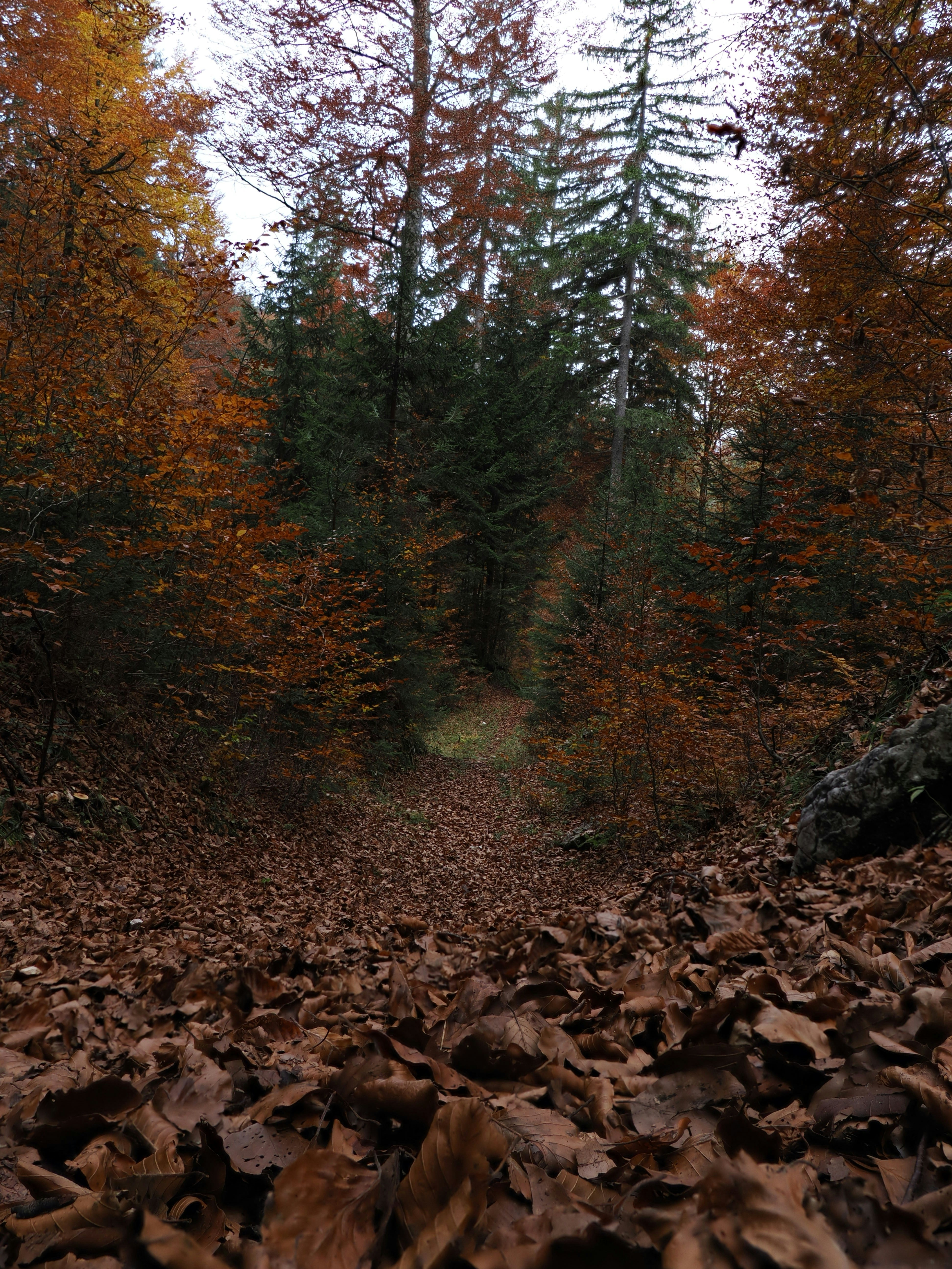 Photo by gopitri_prem