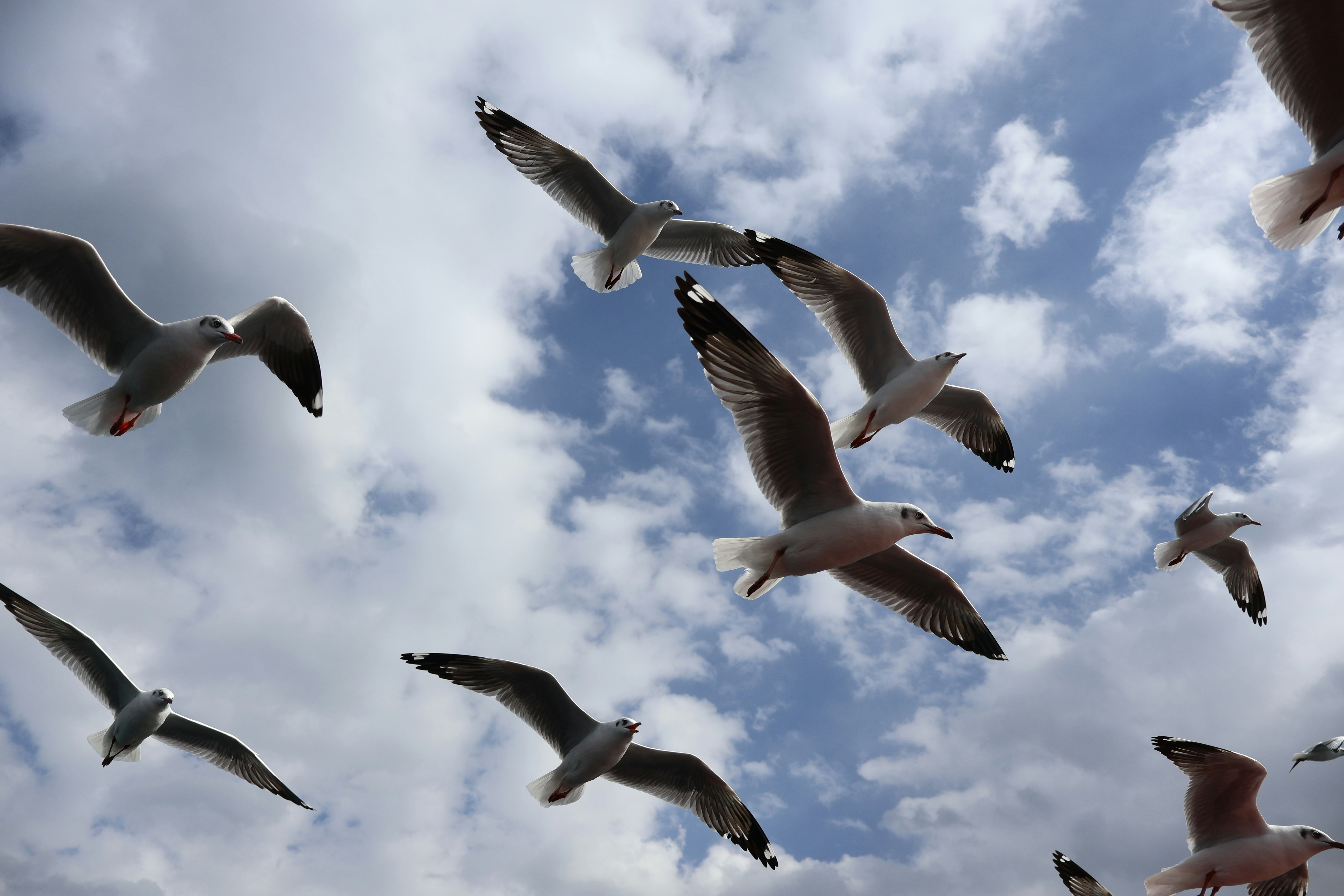 Photo by eugene_6666