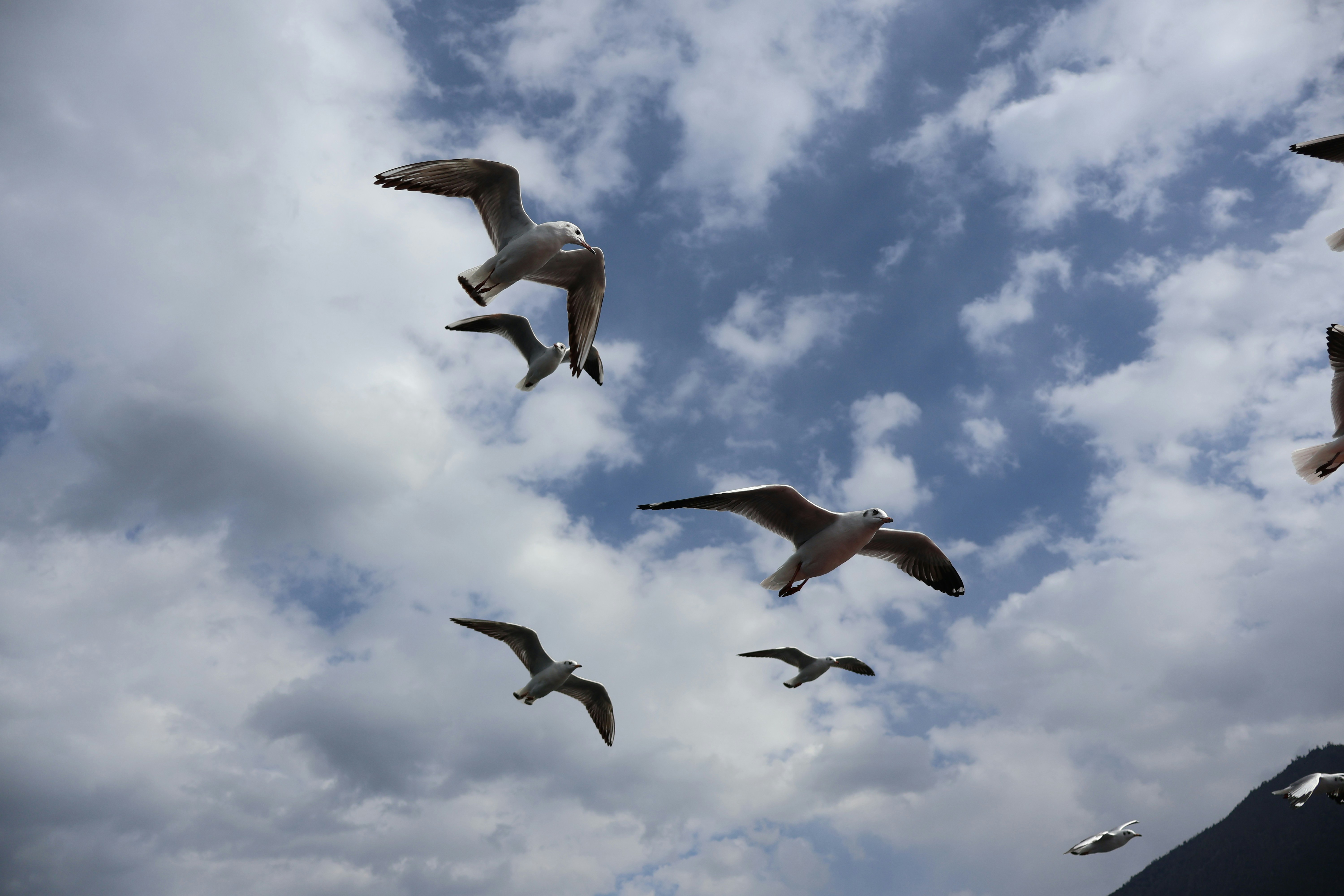 Photo by eugene_6666