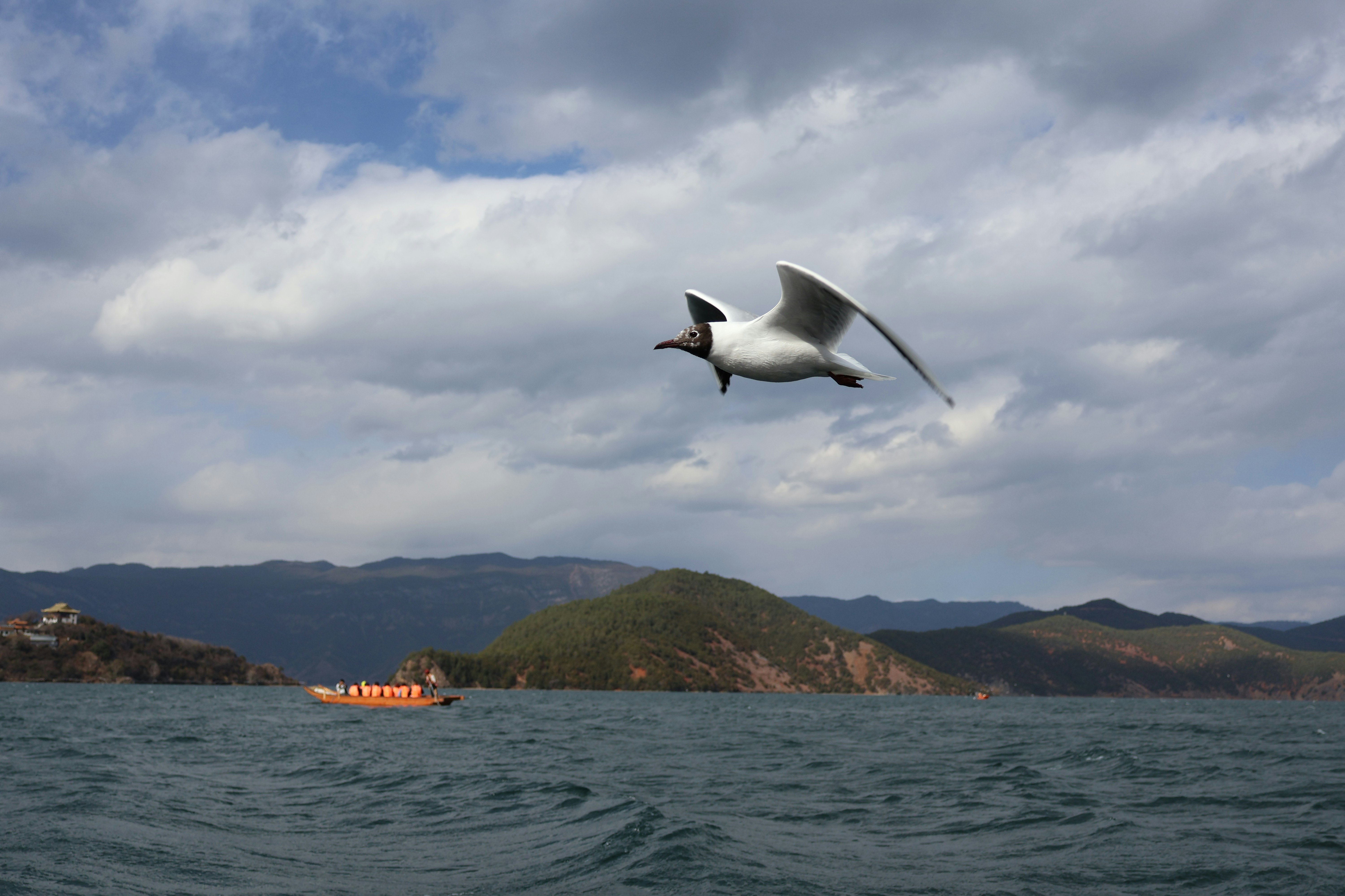 A seagull flying over a lake with mountains.