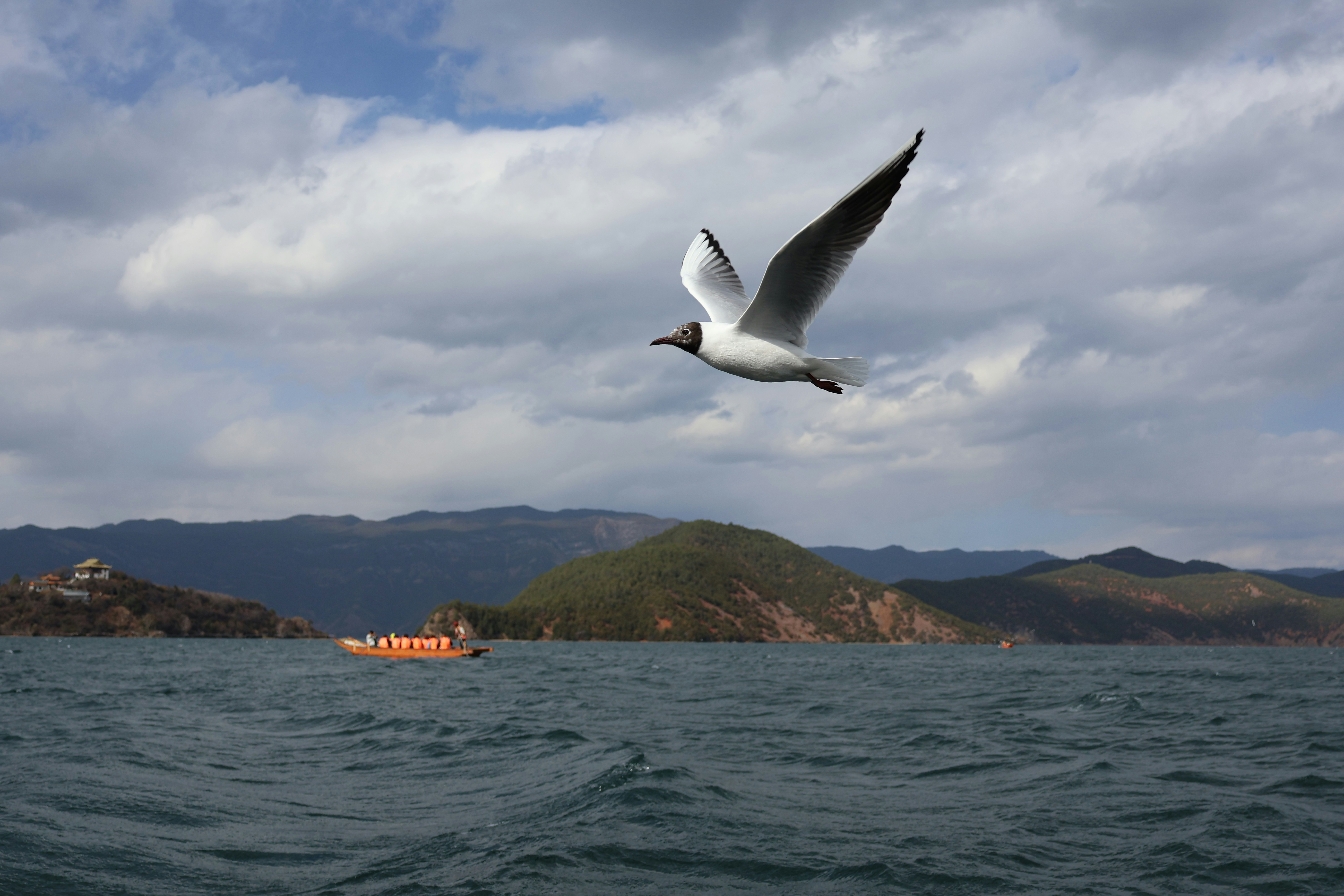 A seagull flies over a lake with mountains.