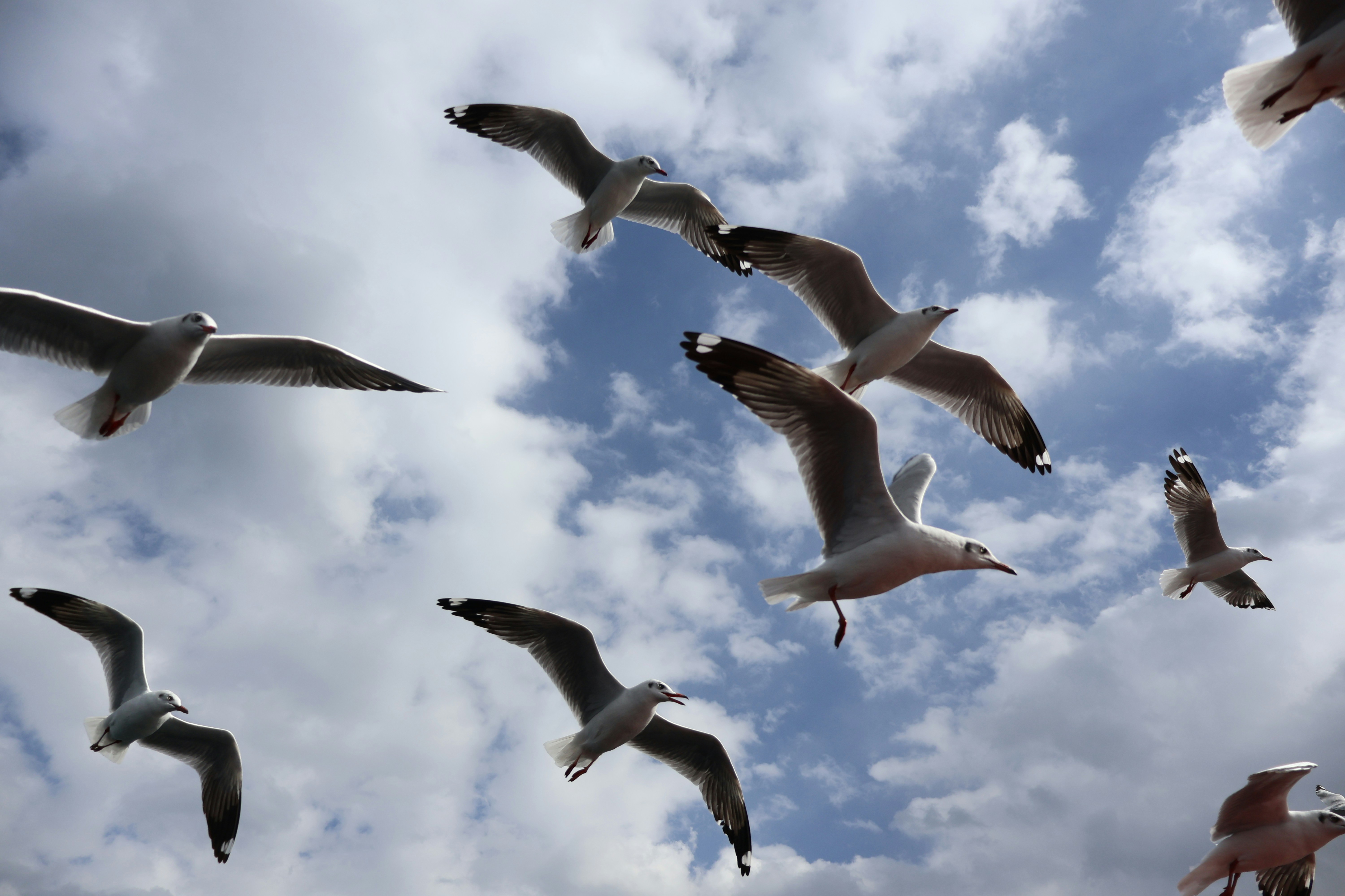 Photo by eugene_6666