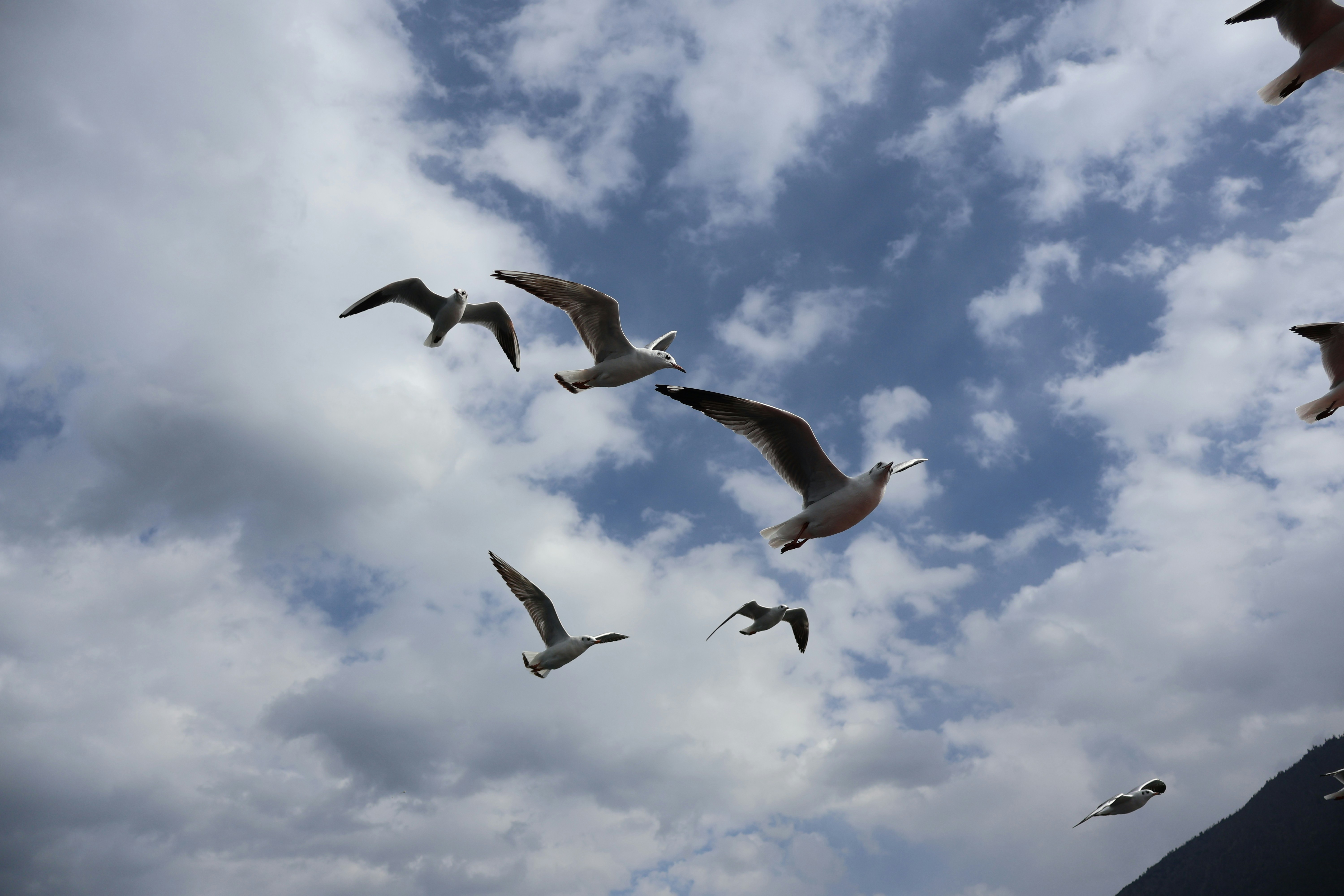 Photo by eugene_6666