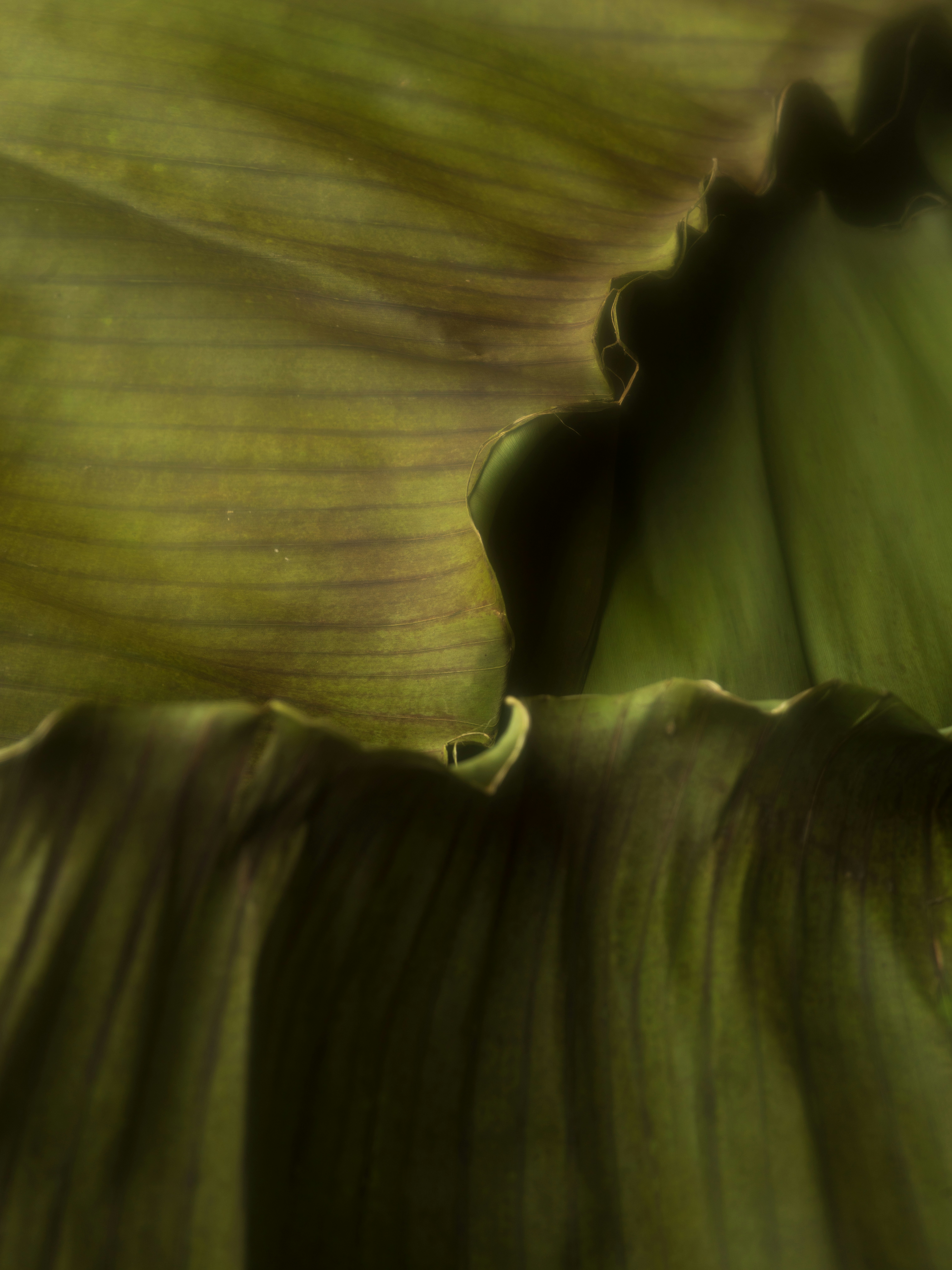 Photo by kierinsightarchives