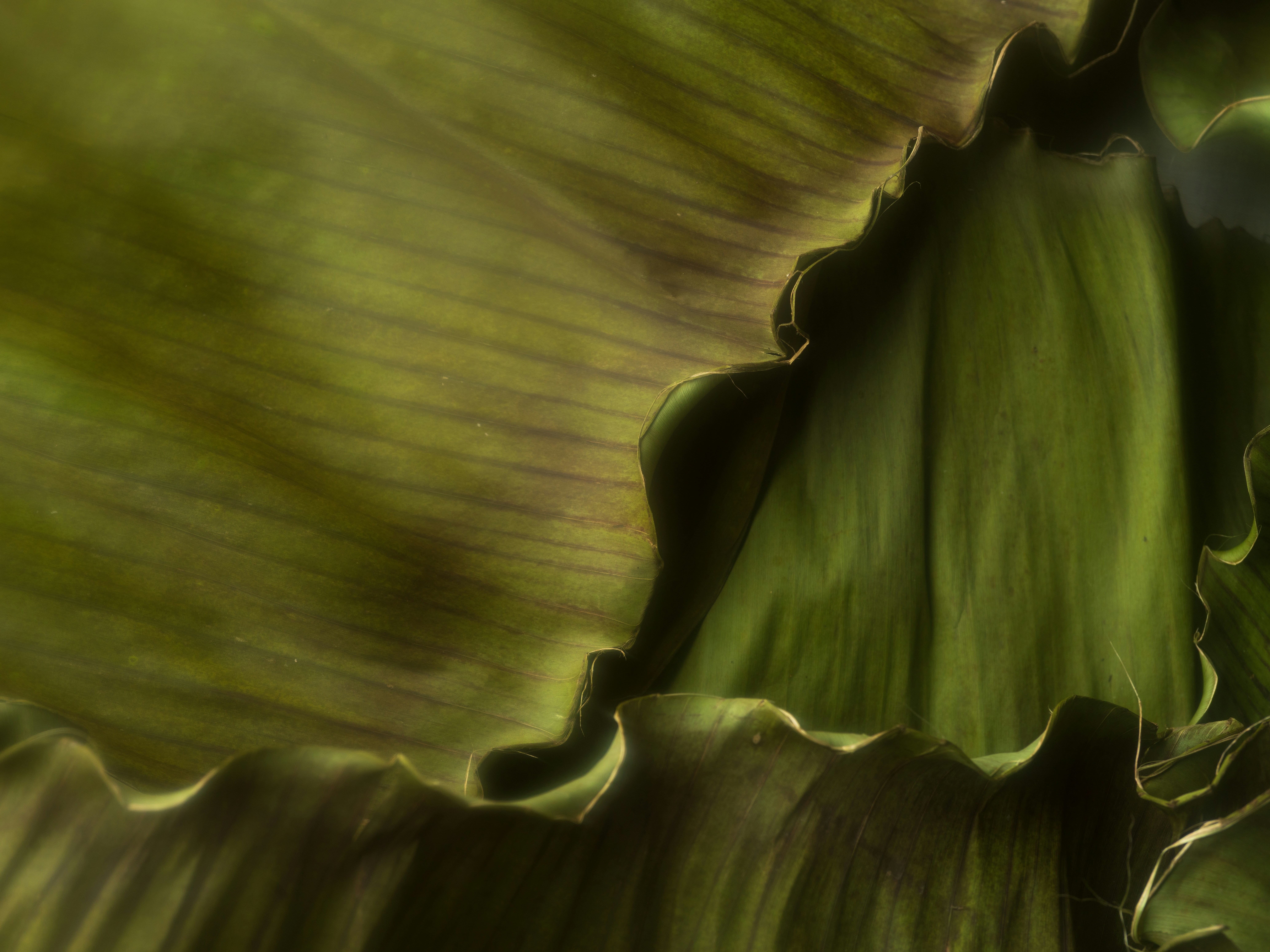 Photo by kierinsightarchives