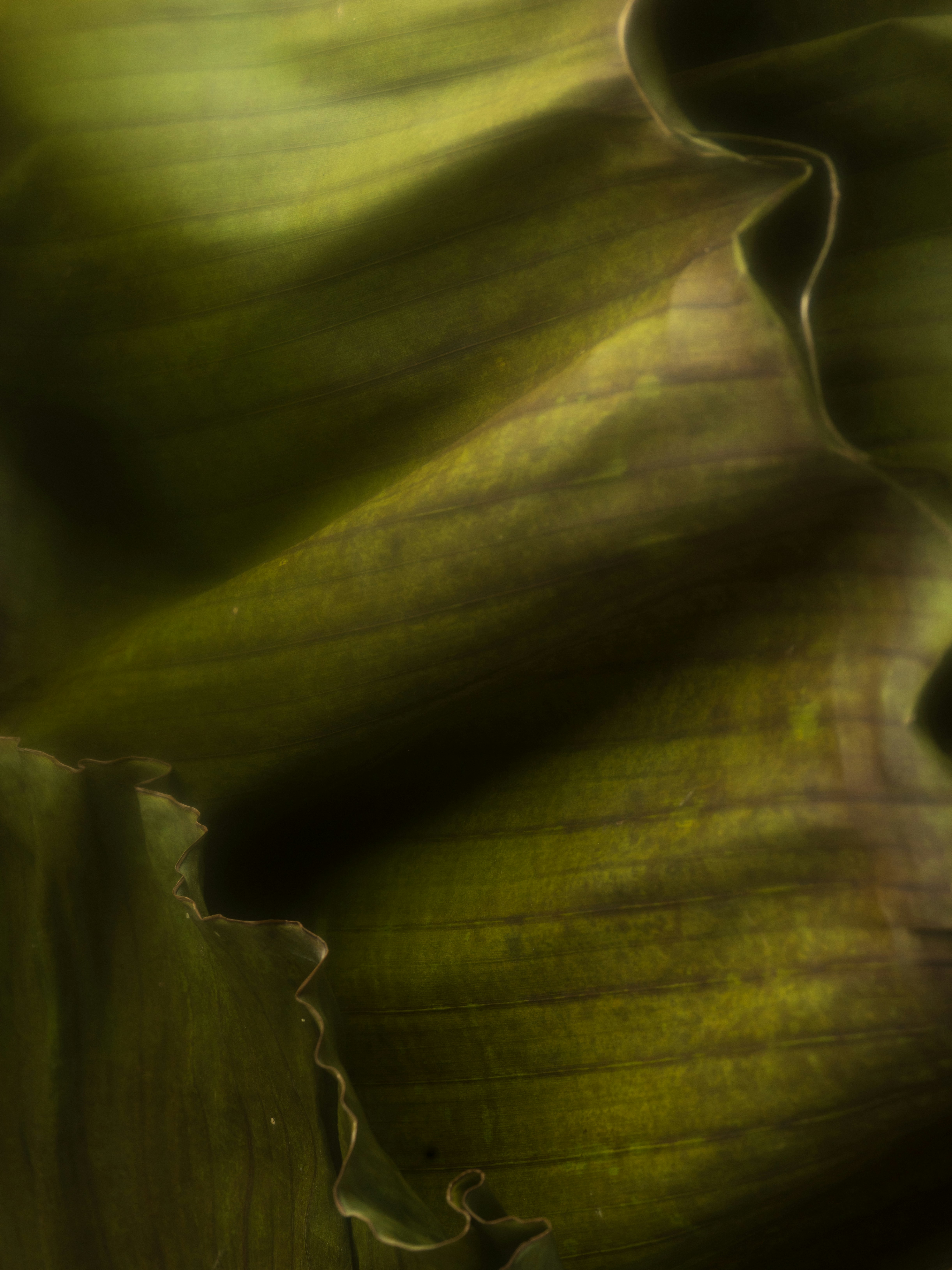 Photo by kierinsightarchives