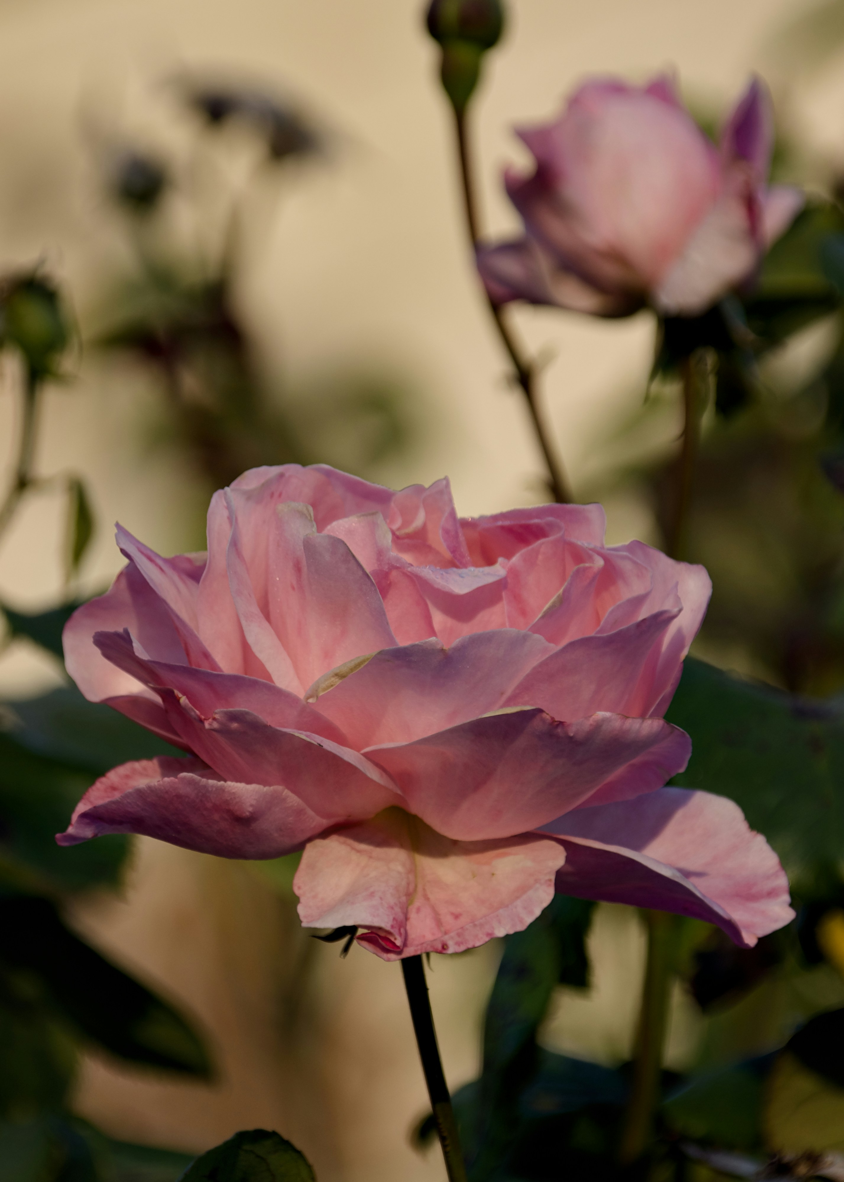 Photo by mariobeducci