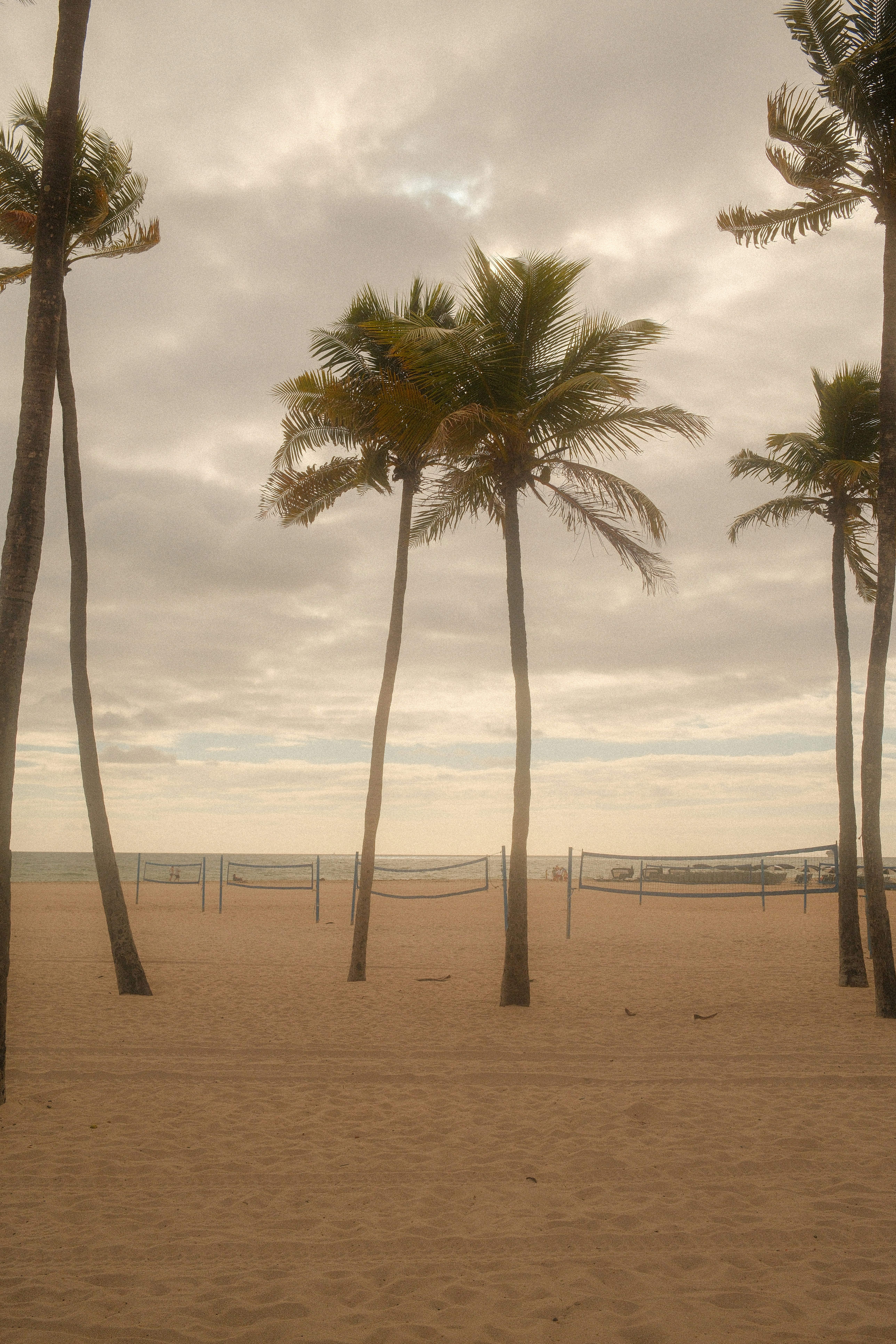 Palmen an einem Sandstrand mit Volleyballnetzen.