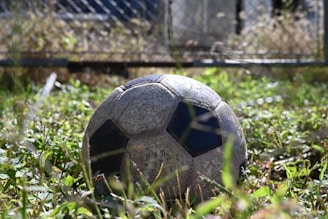 A worn soccer ball rests in overgrown grass.