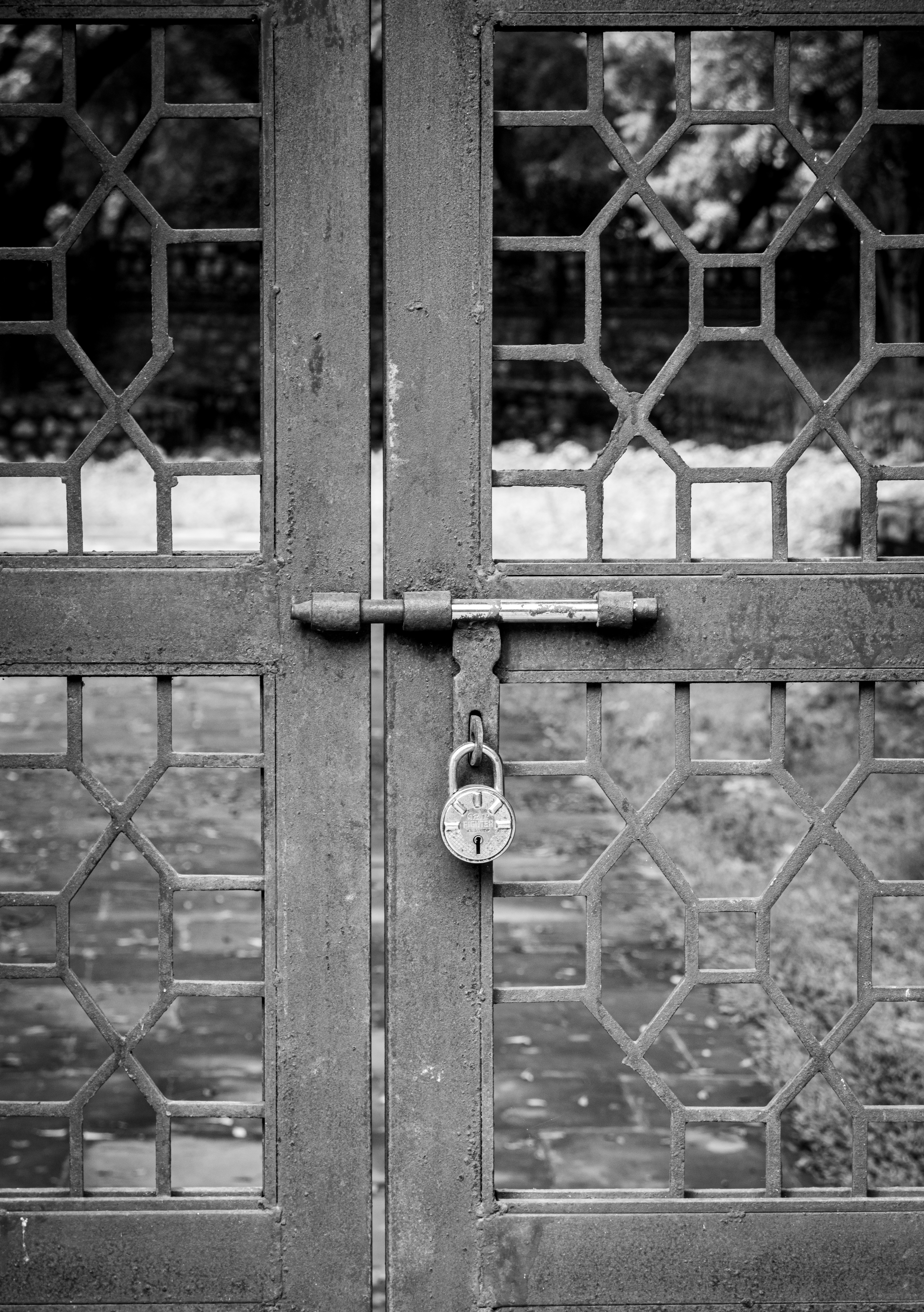 A locked metal gate with ornate glass panels