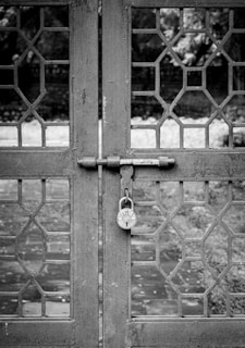 A locked metal gate with ornate glass panels