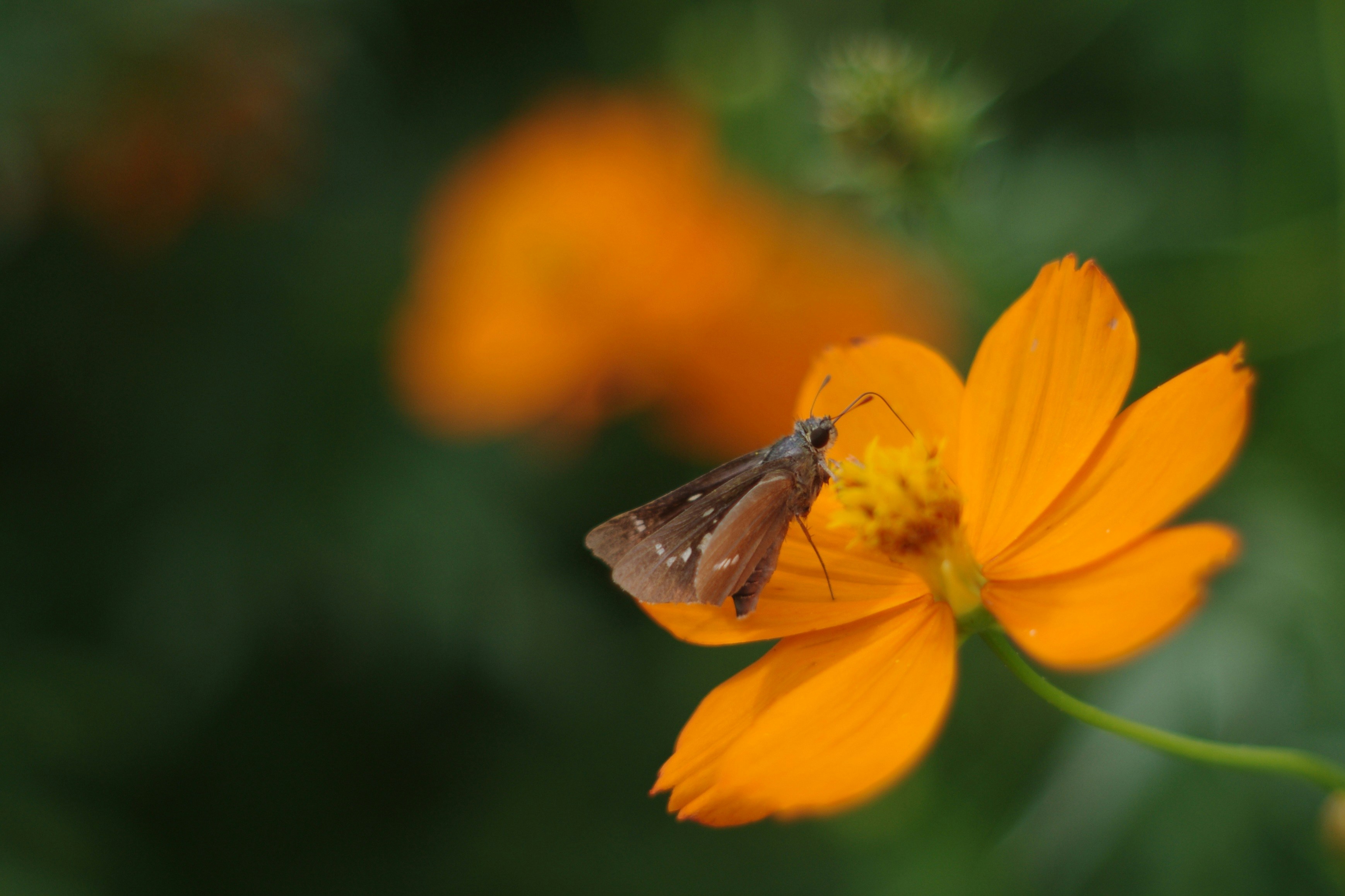 Photo by da_shika_photo