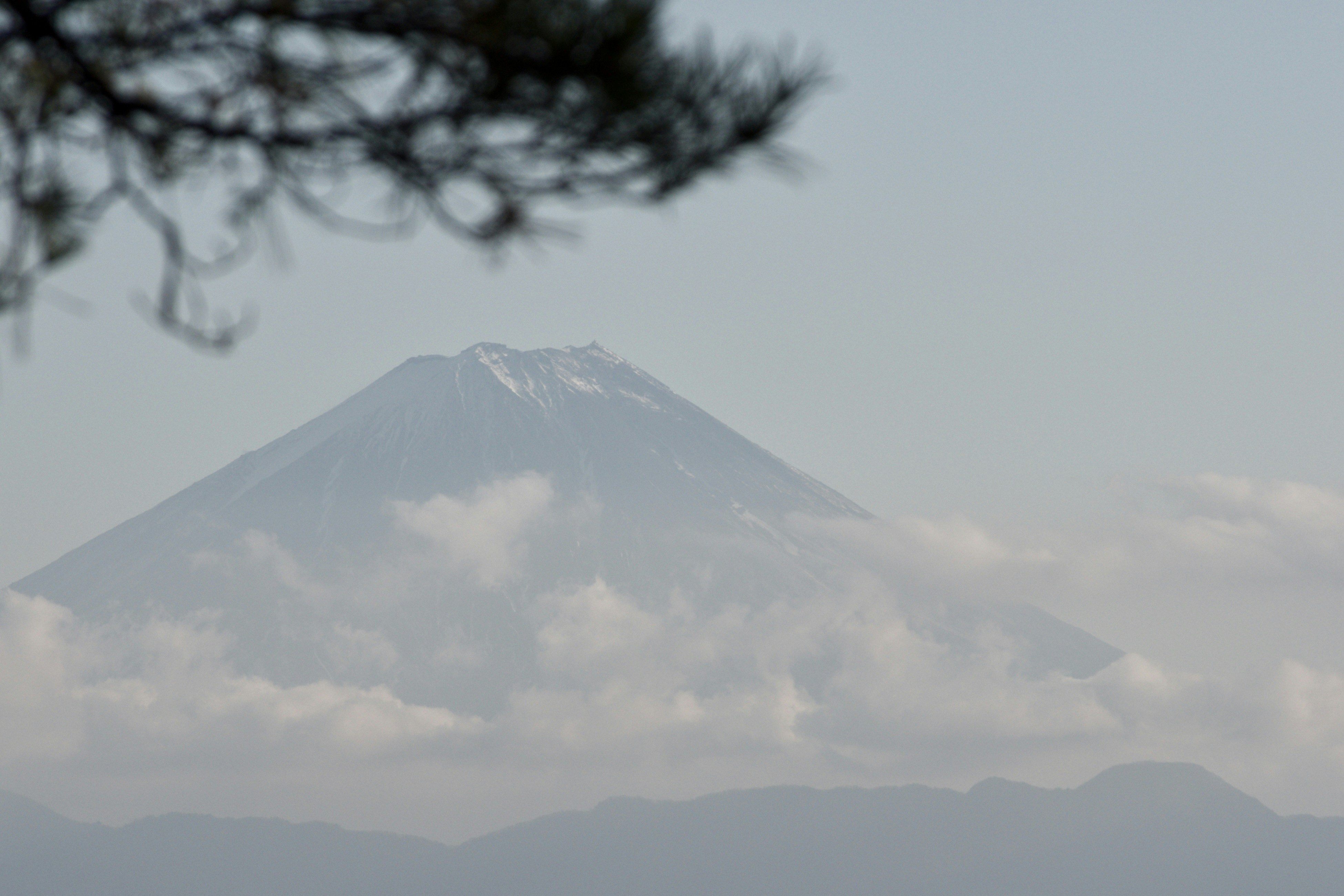 Photo by da_shika_photo