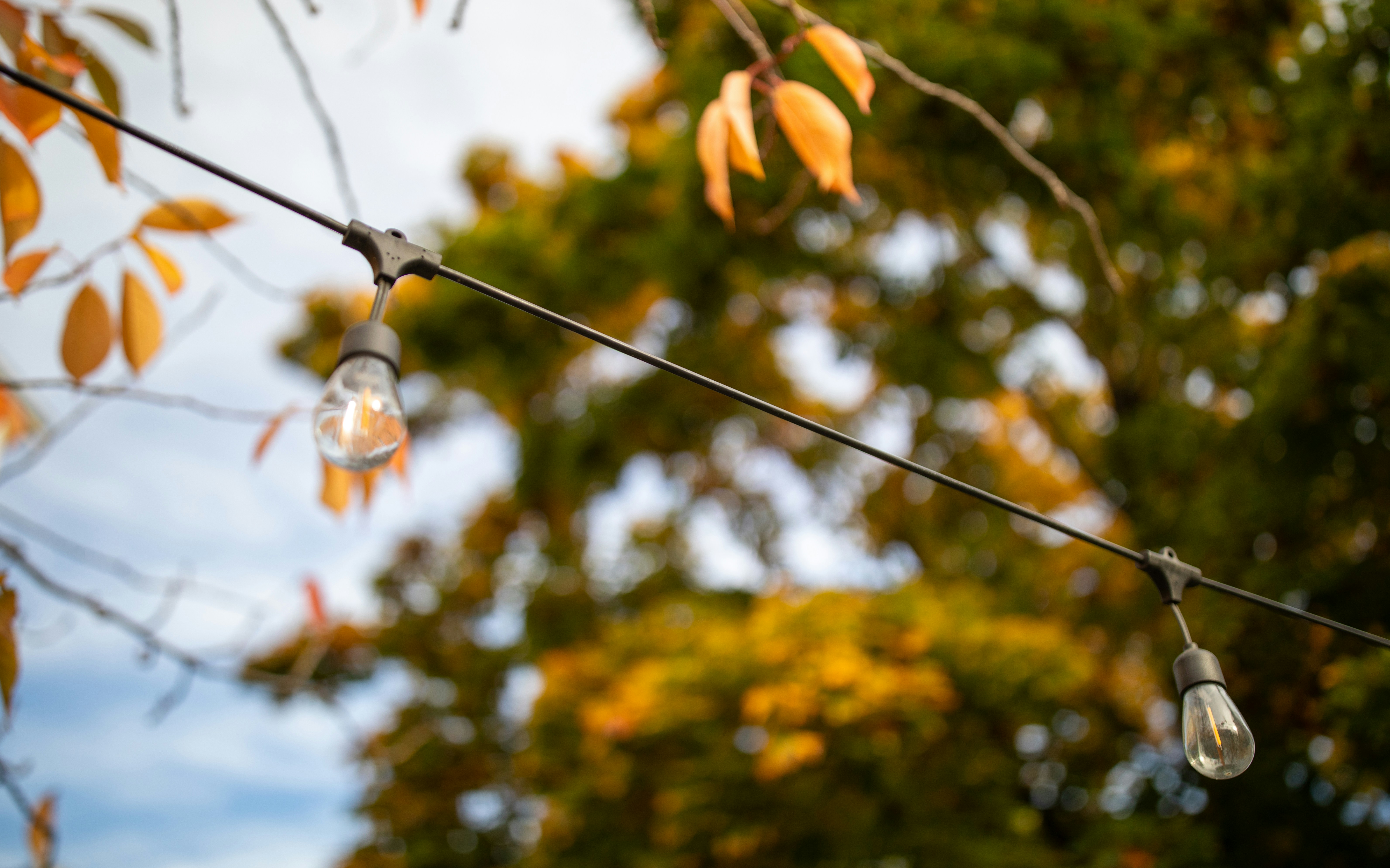 The 5 Best Solar Outdoor