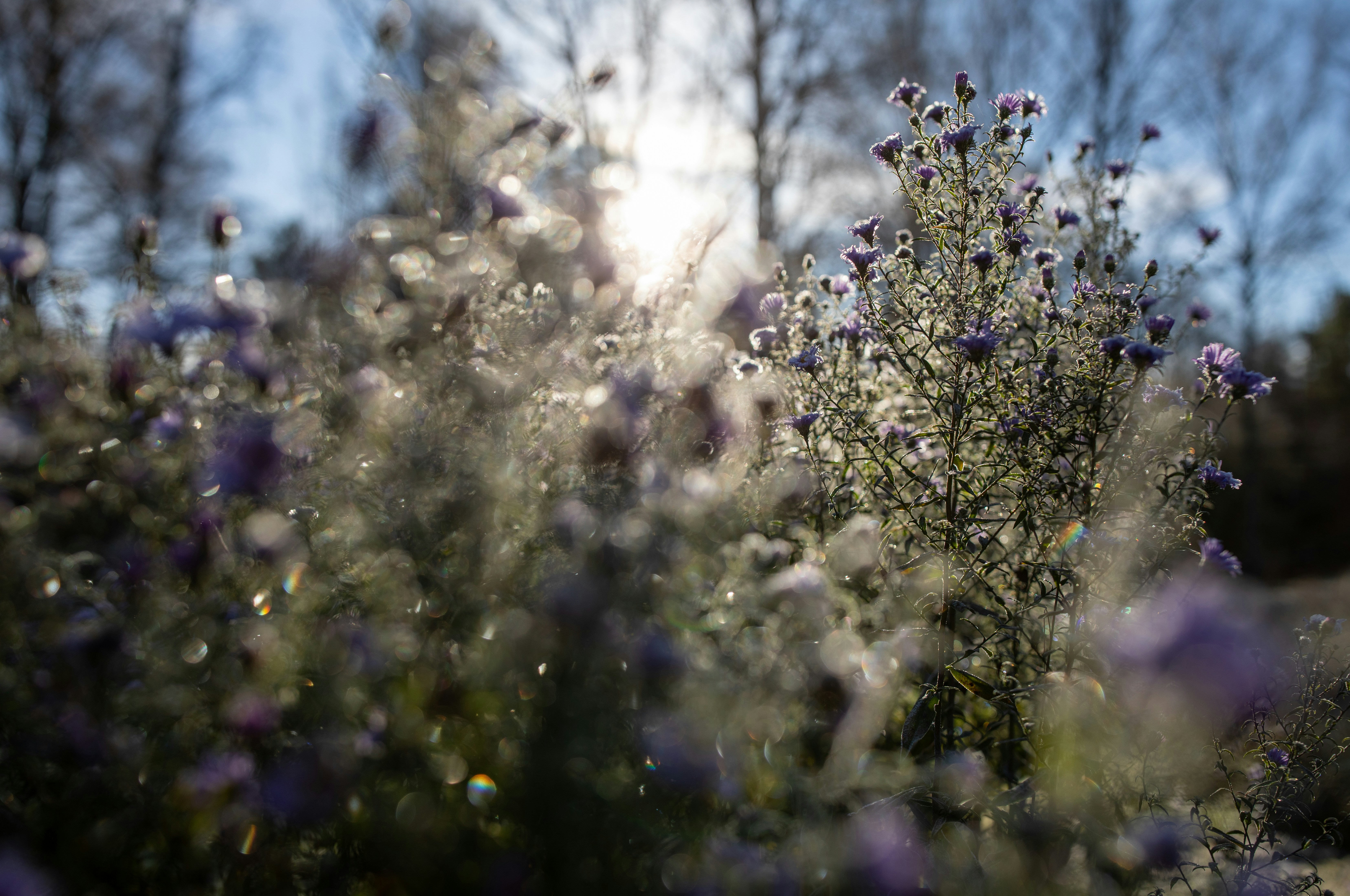 soft focus morning light, wallpaper, Mata Kering Saat Bangun Tidur: Penyebab & Cara Mengatasi 3