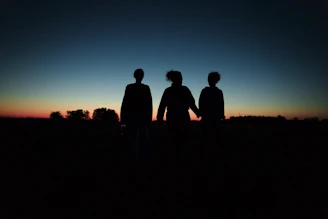 Silhouettes of three people against a twilight sky