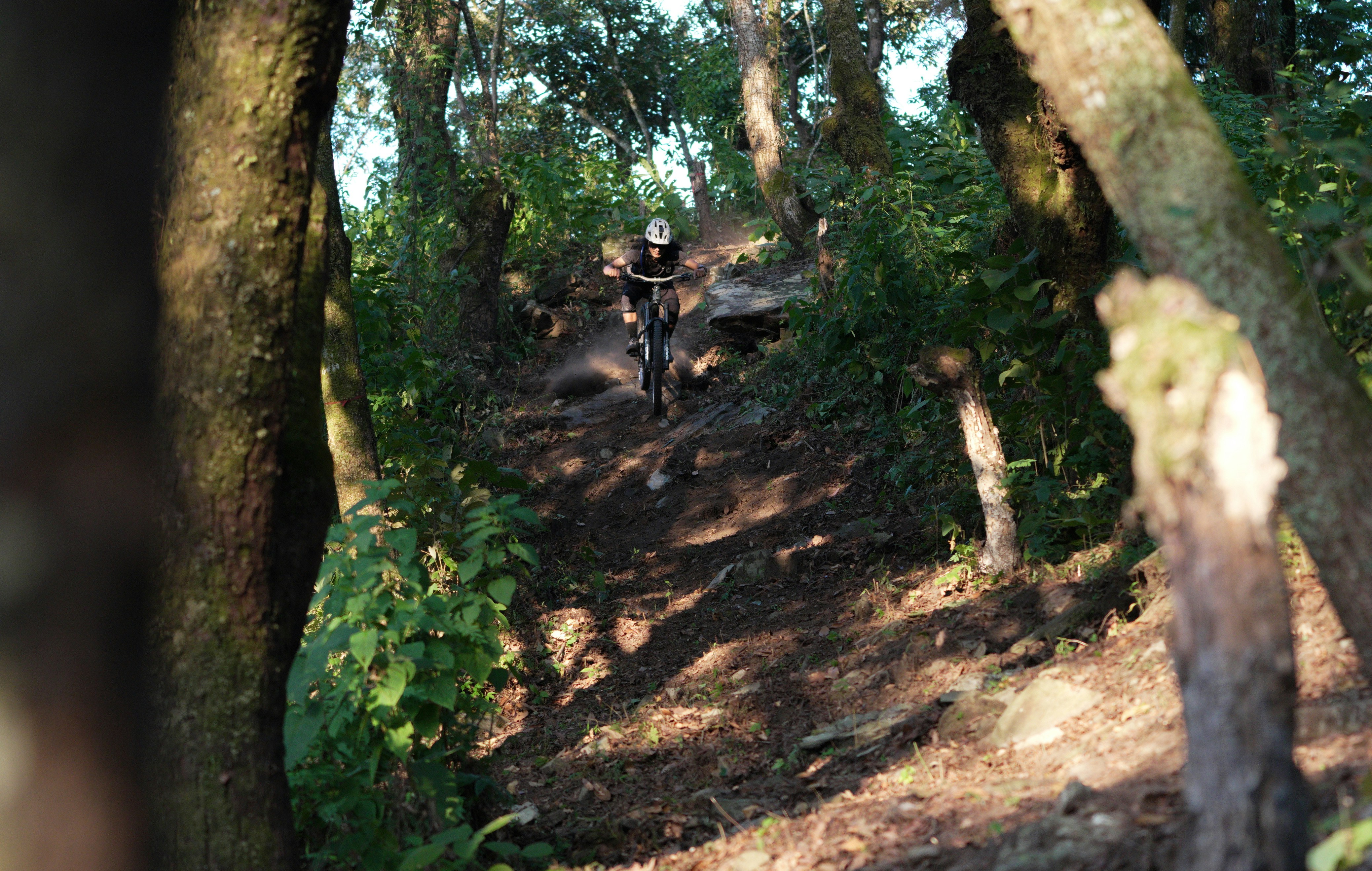Mountain biker descending a steep, wooded trail.