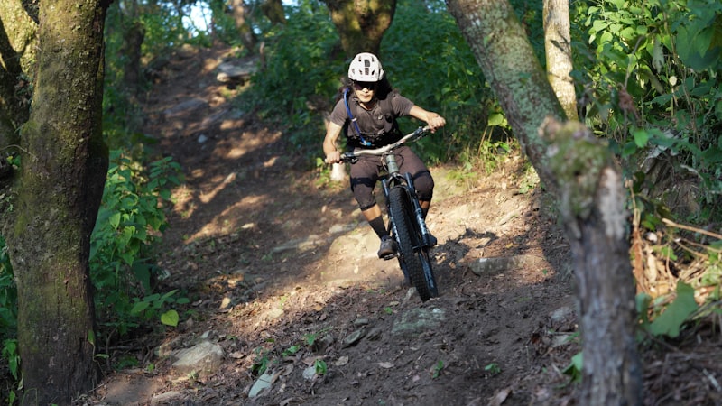 Forest singletrack trail