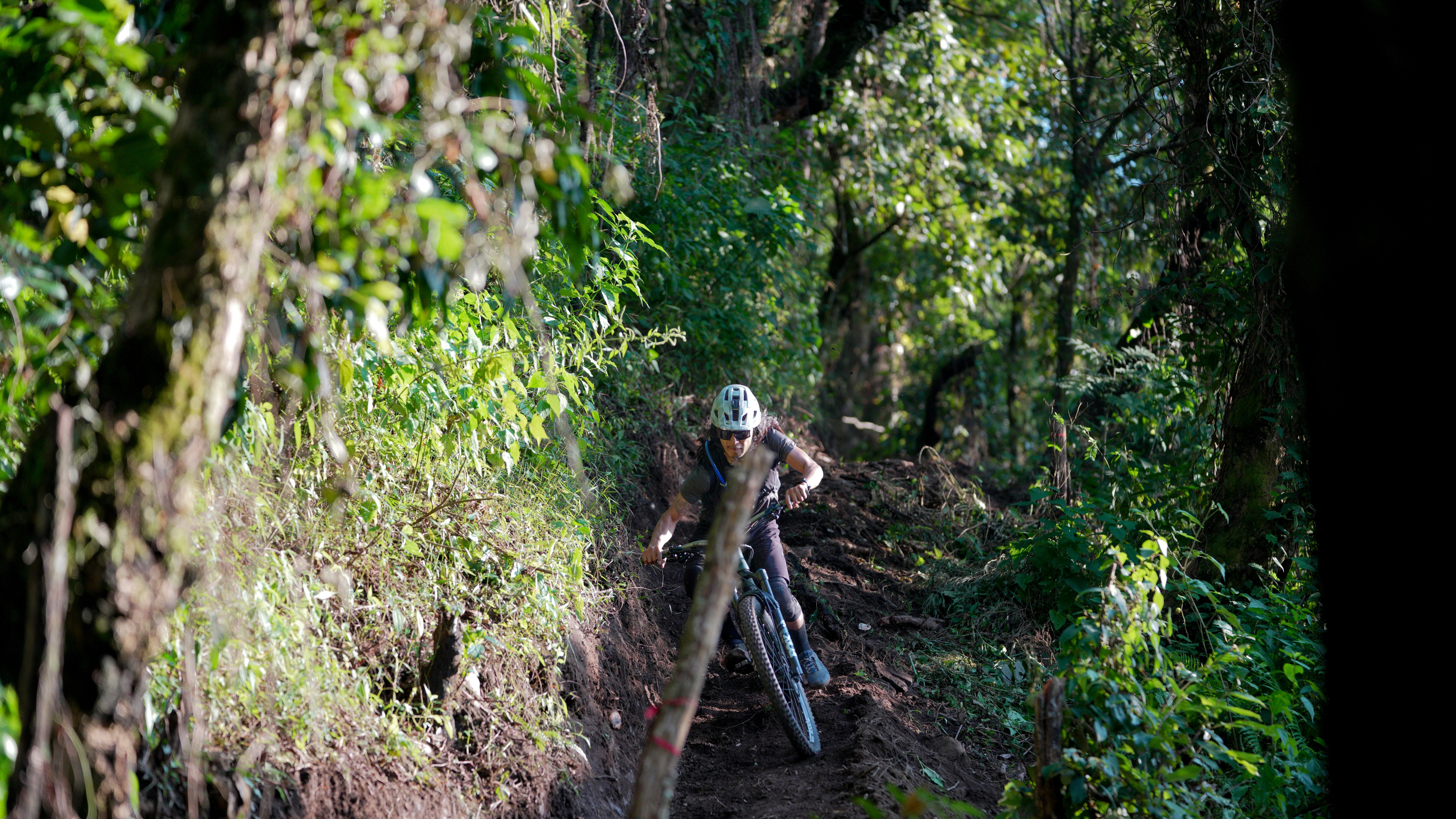 Mountain biker descending a steep, overgrown forest trail.